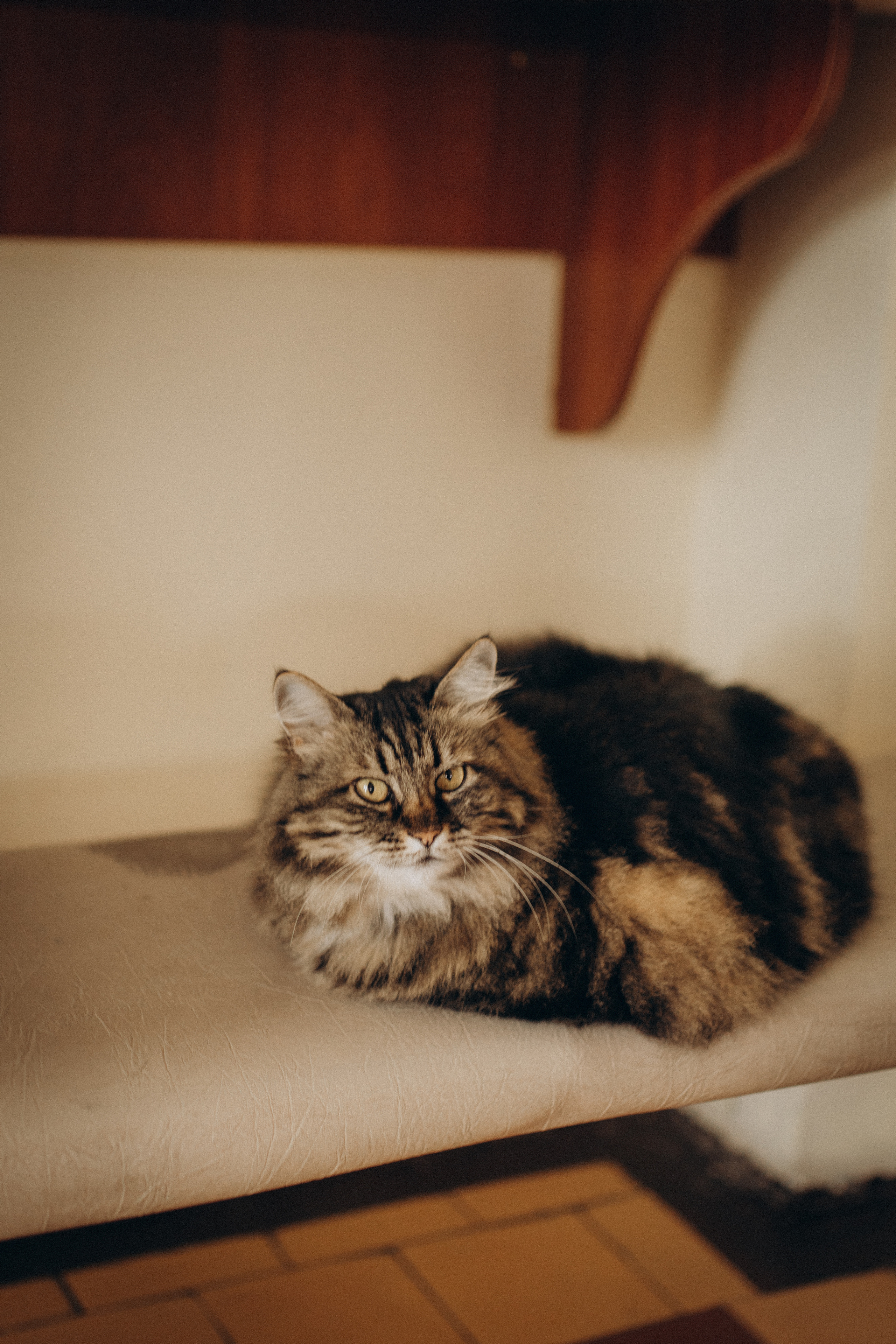 Крещение Алисы. Семейный фотограф и фотограф на роды в Ростове-на-Дону Мухина Виктория