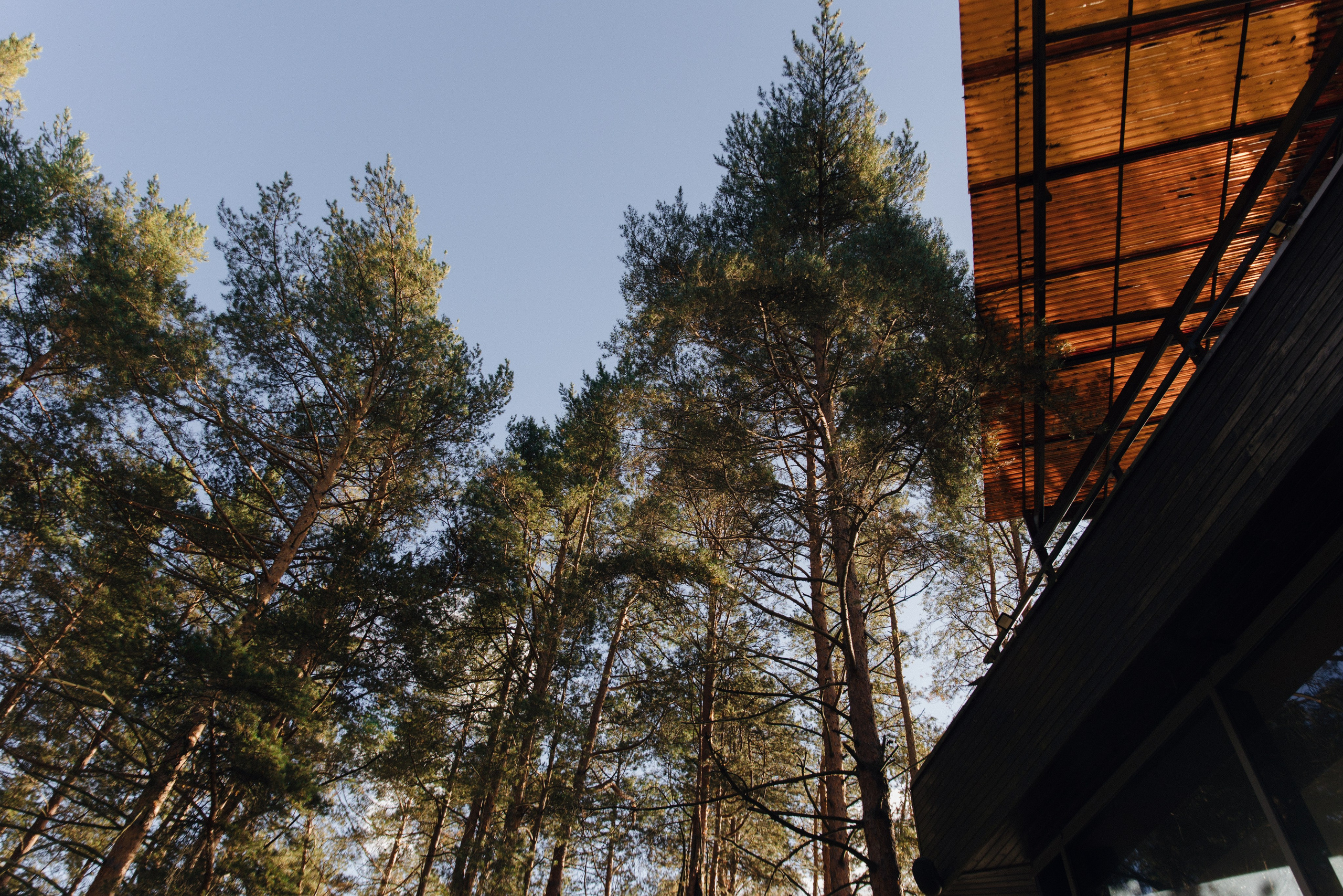 Город и залив / 2024. Фотограф СПб