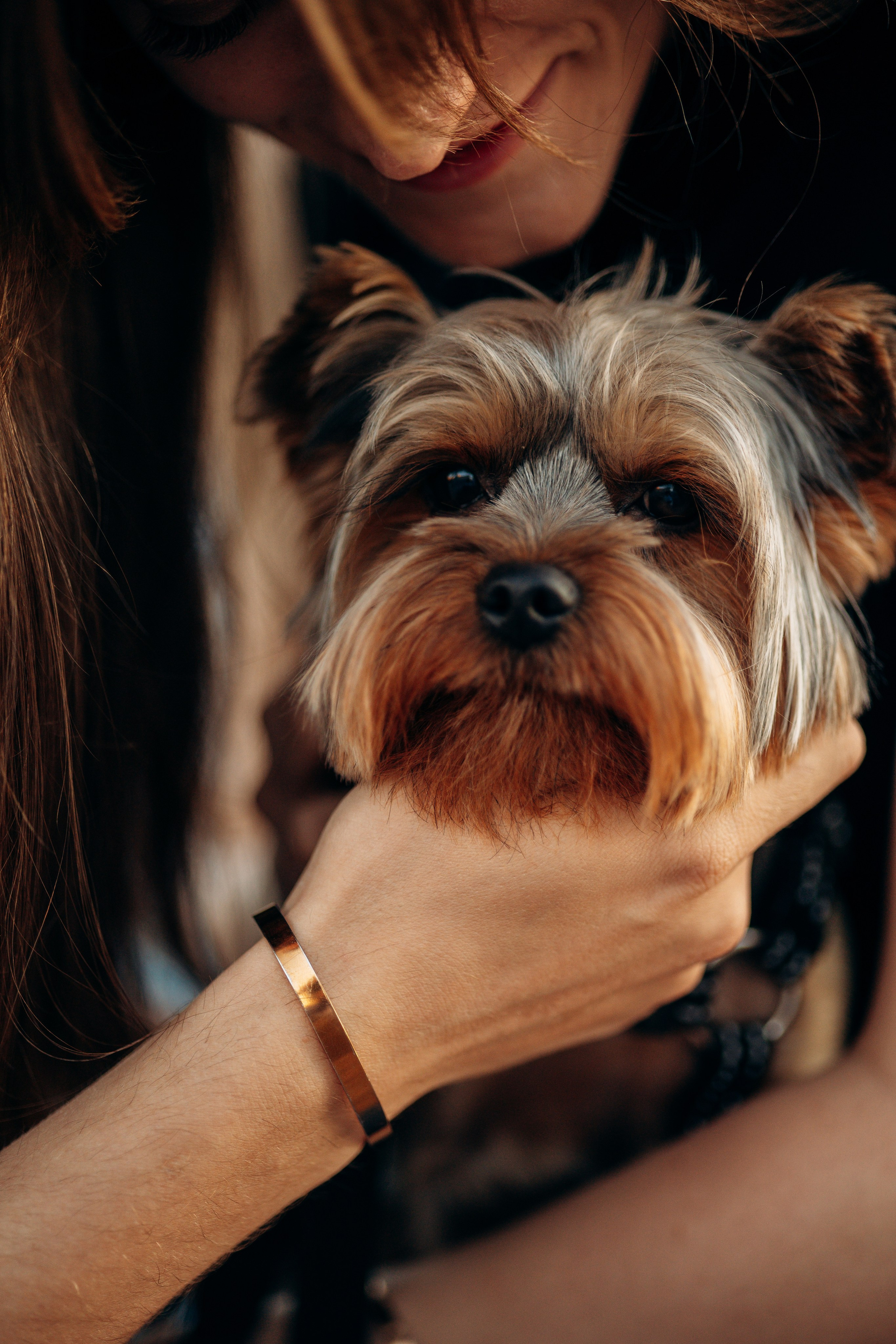 Филя и его семья. Фотограф — Анималист | Санкт-Петербург