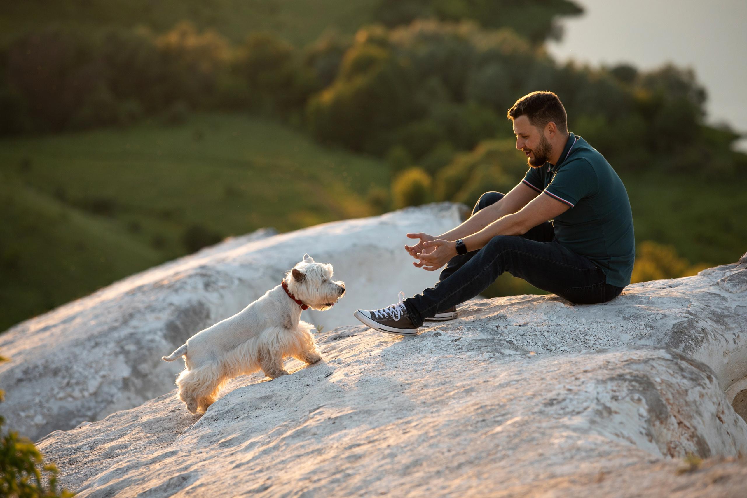 Сторожевое. Свадебный фотограф в Воронеже Александр Пенкин