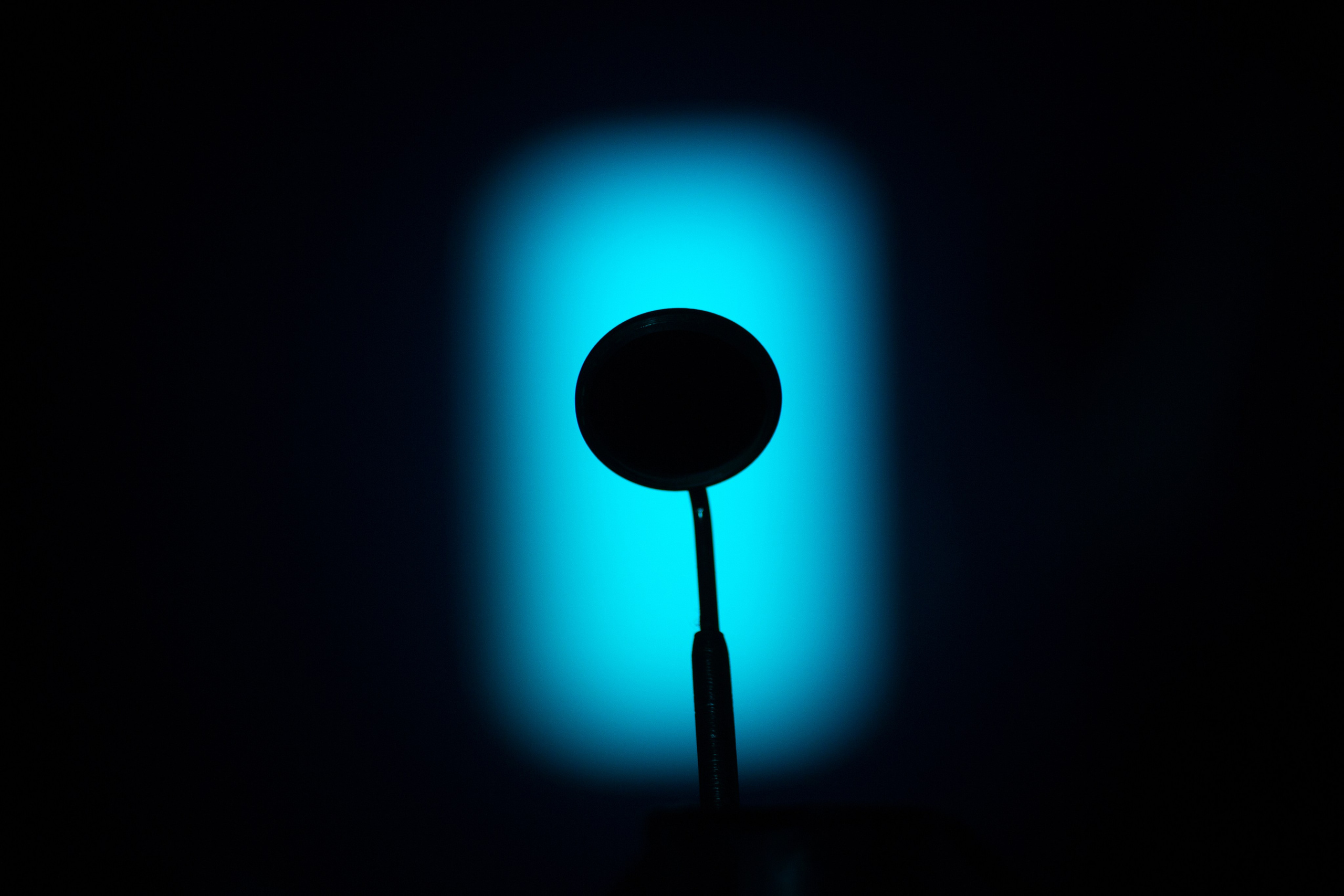 Шмитов Егор