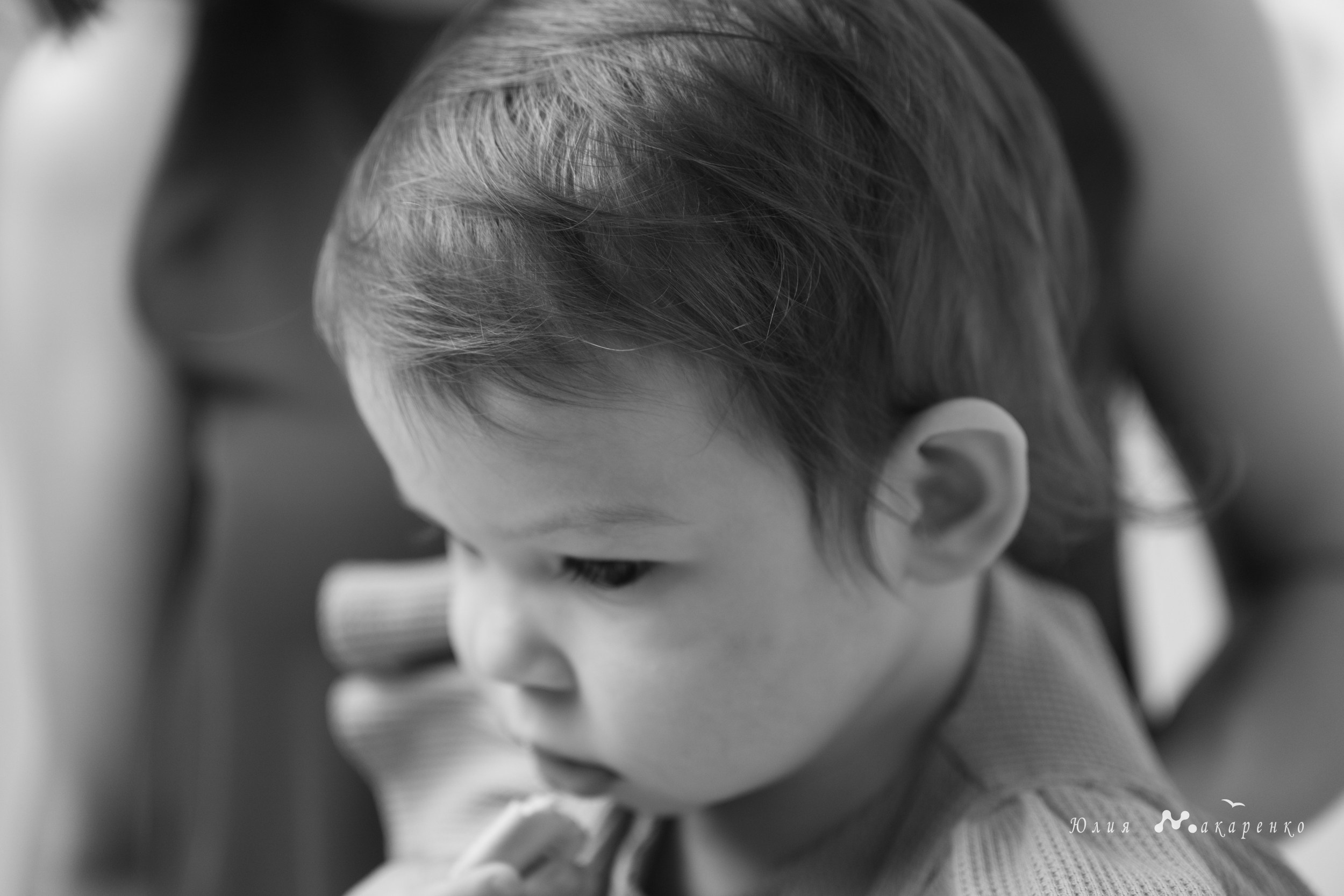 Семейные и детские фотосессии. Студийный и свадебный фотограф и видеограф в Севастополе — Юлия Макаренко