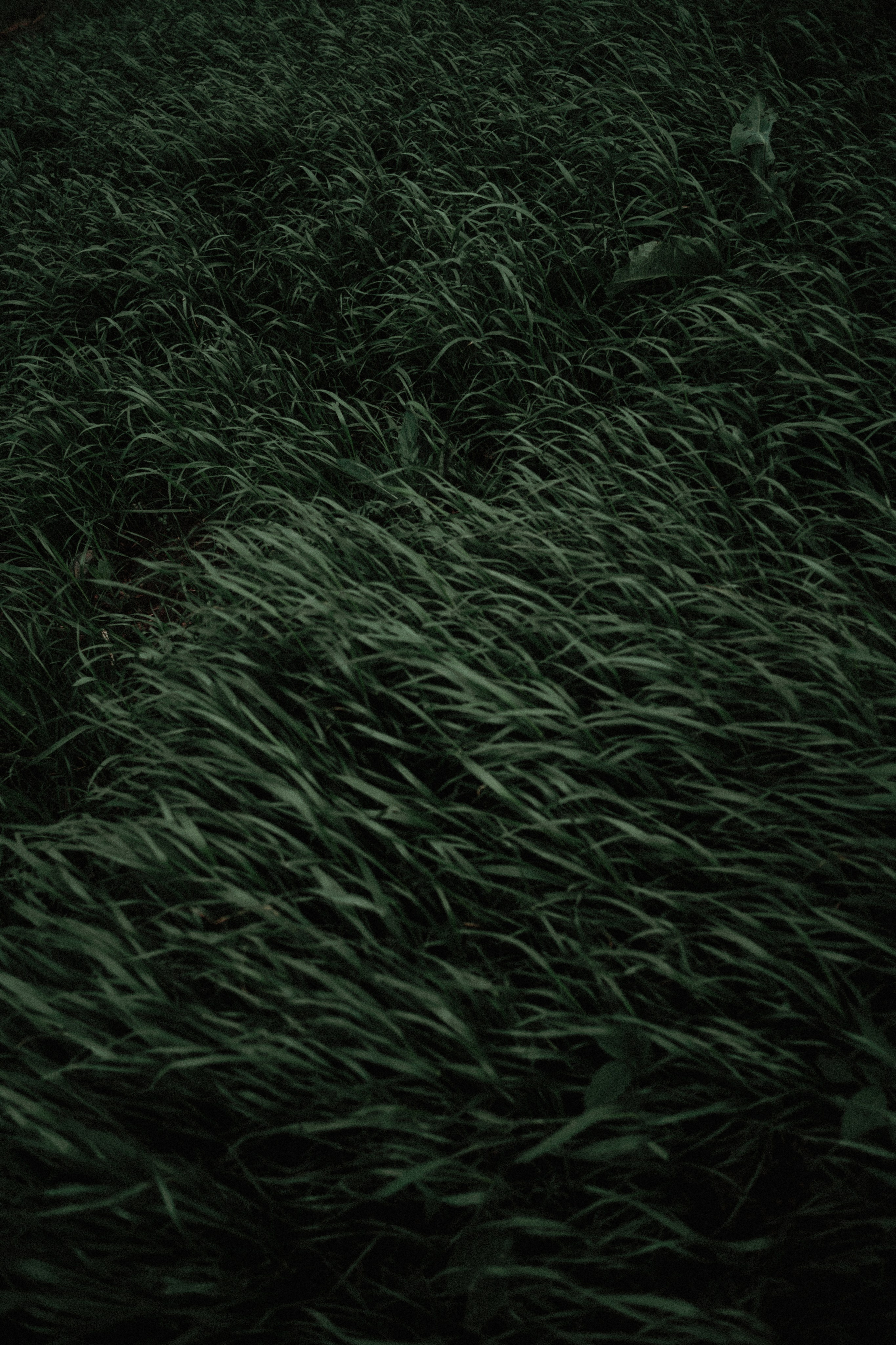 Териберка, Мурманск. Фотосъёмка для компании по организации туров в коллаборации с Яндекс 360