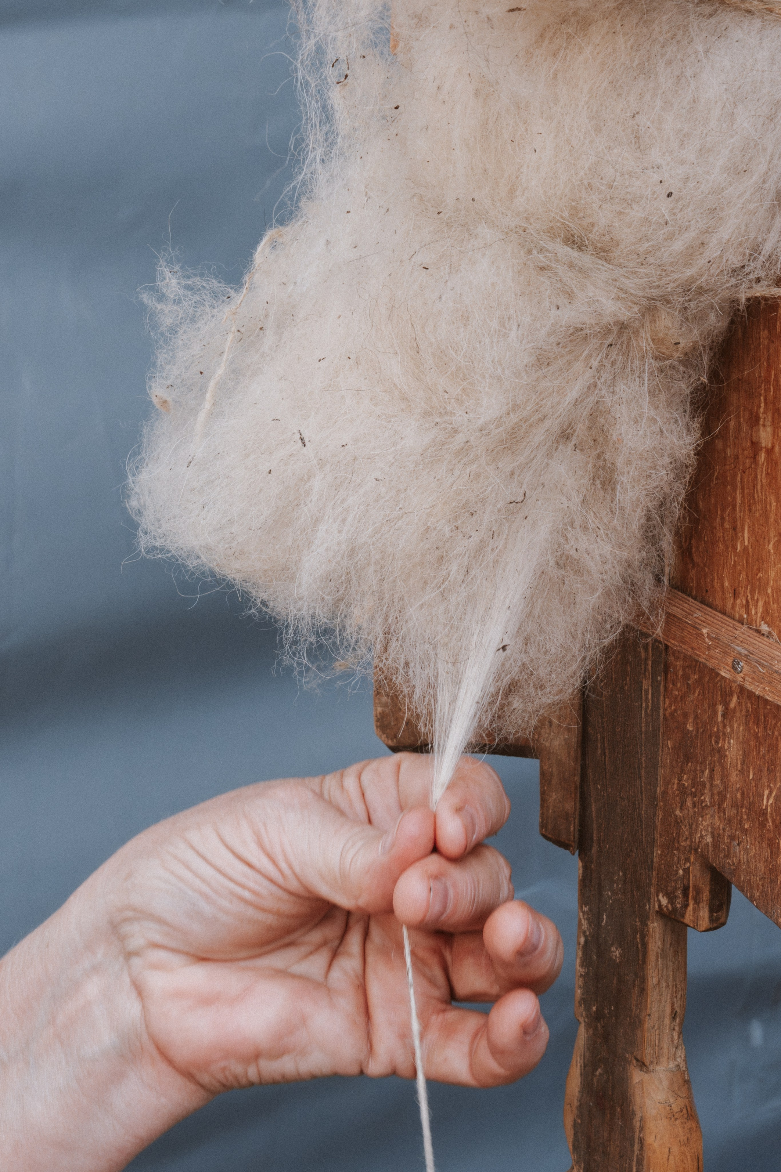 Межрегиональный гастрофестиваль. Фото и видеосъемка в Йошкар-Оле и Москве. (Фотограф и видеограф в Йошкар-Оле и Москве)