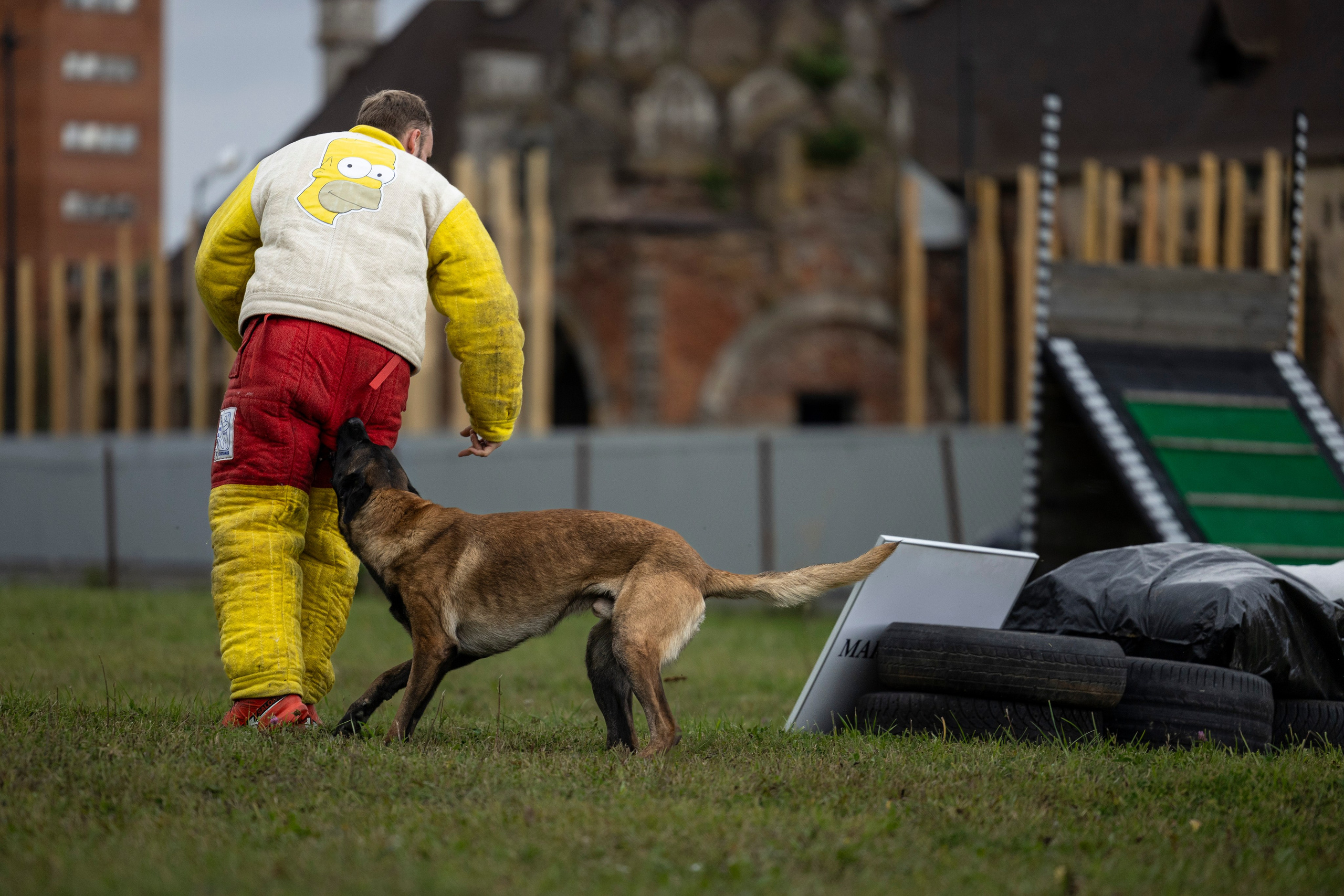 Испытания по Мондьорингу г. Пушкин. Фотограф-анималист Анна Маринич