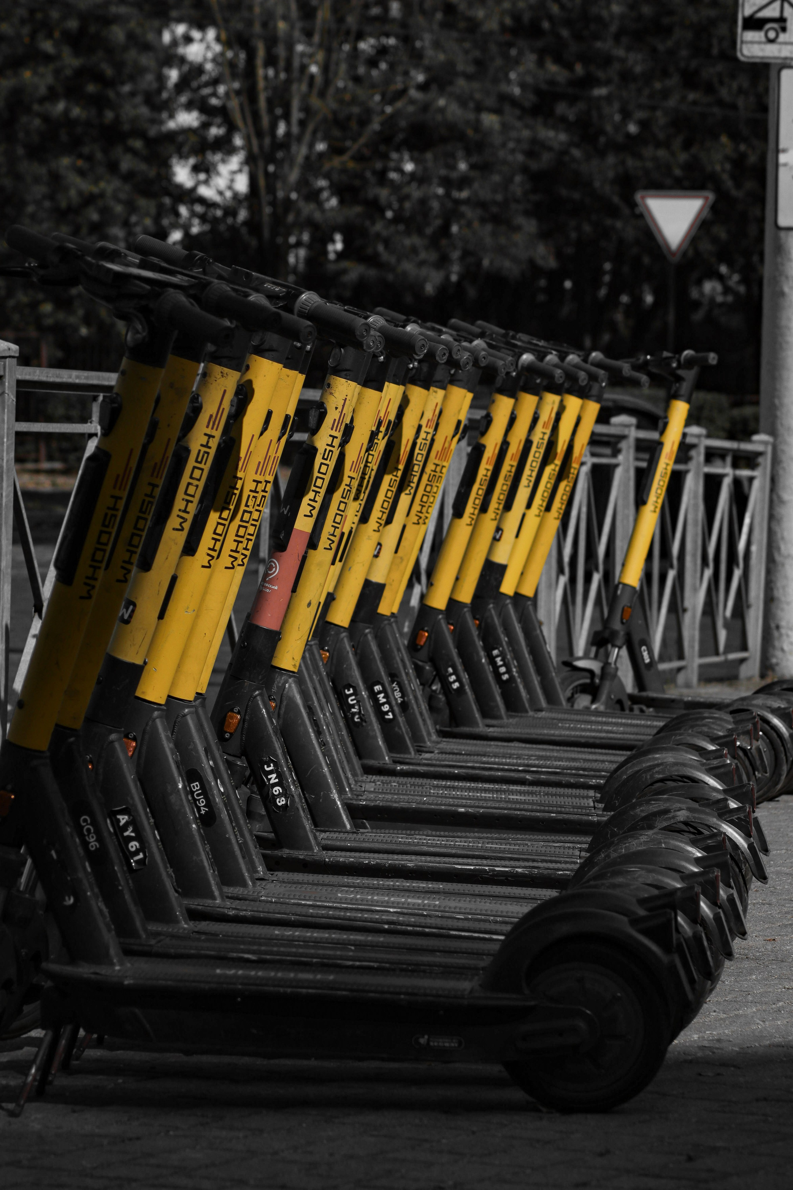 О Д И Н — Ц В Е Т. — Digital Noise —