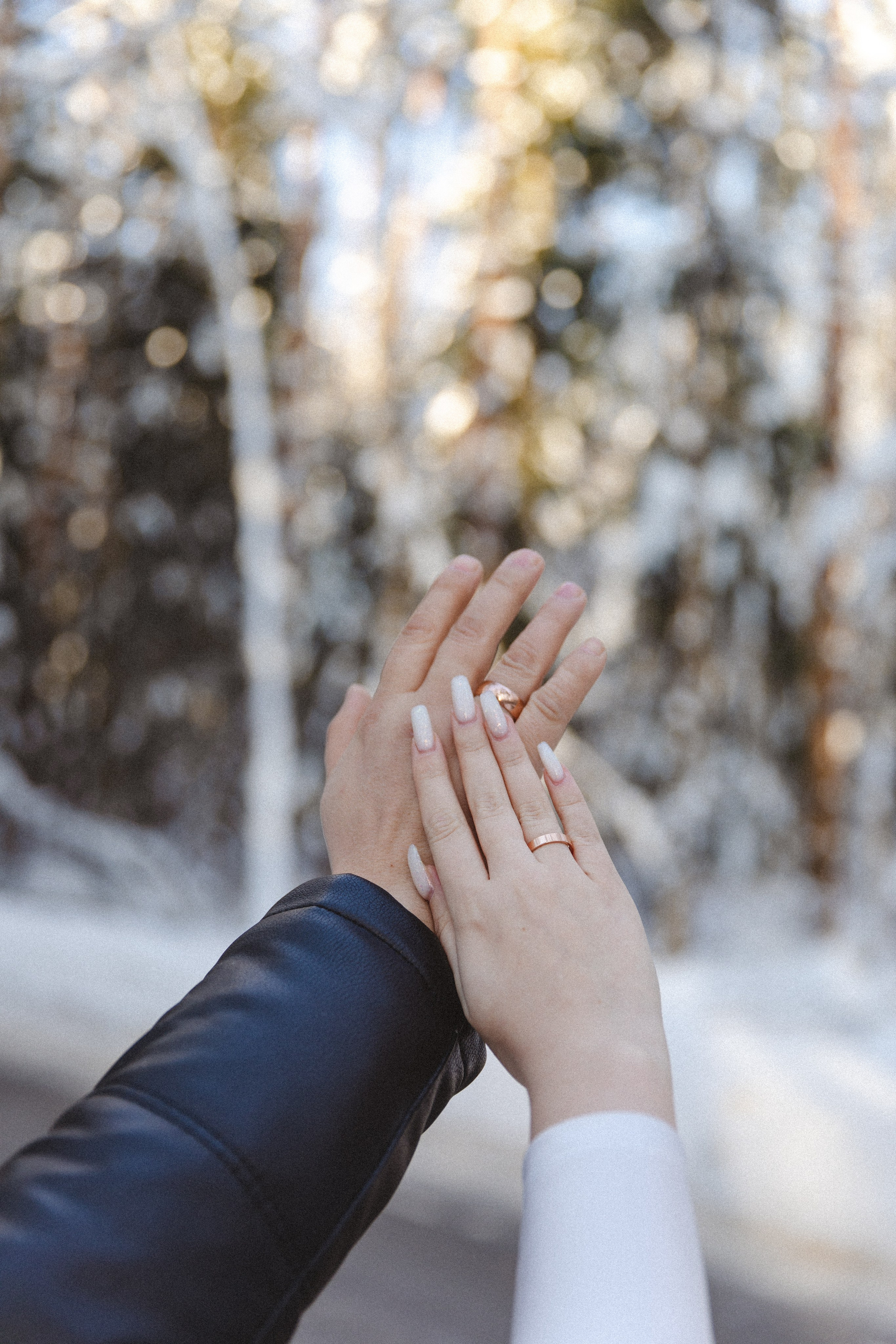 Wedding: Дмитрий и Николь. Фотограф и Видеограф в Москве Дарья Арсентьева