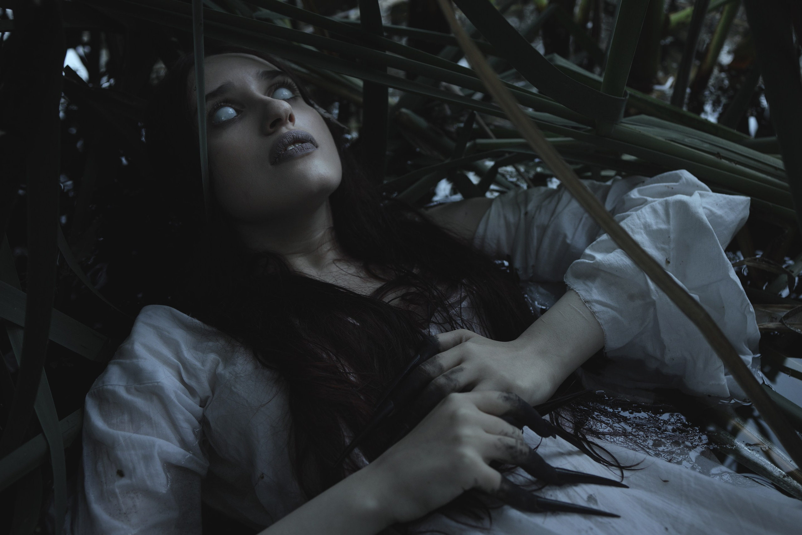 Wermut oder Petersilie?. Арт-фотограф. Coffelisk