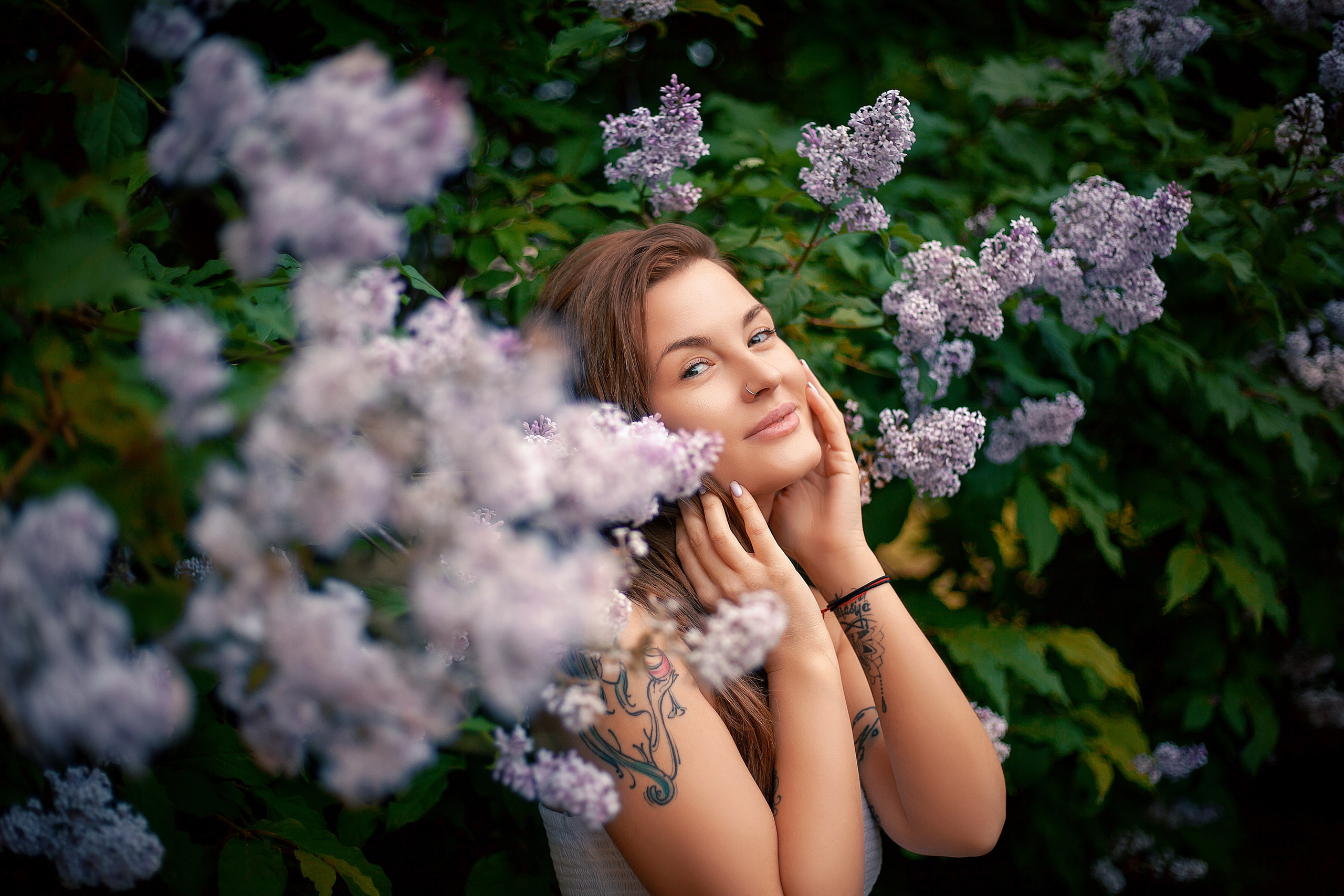 Люпины. Фотограф Мария Кольцова