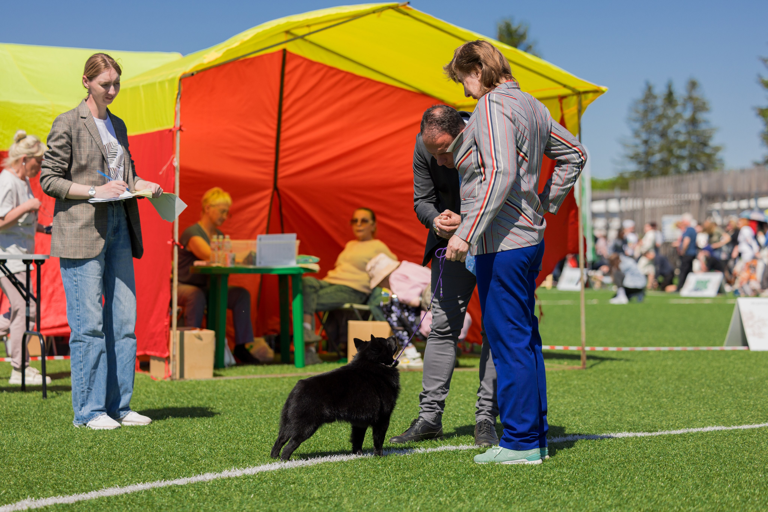Суздаль 18-19.05.2024. Фотограф-анималист Юлия Германика