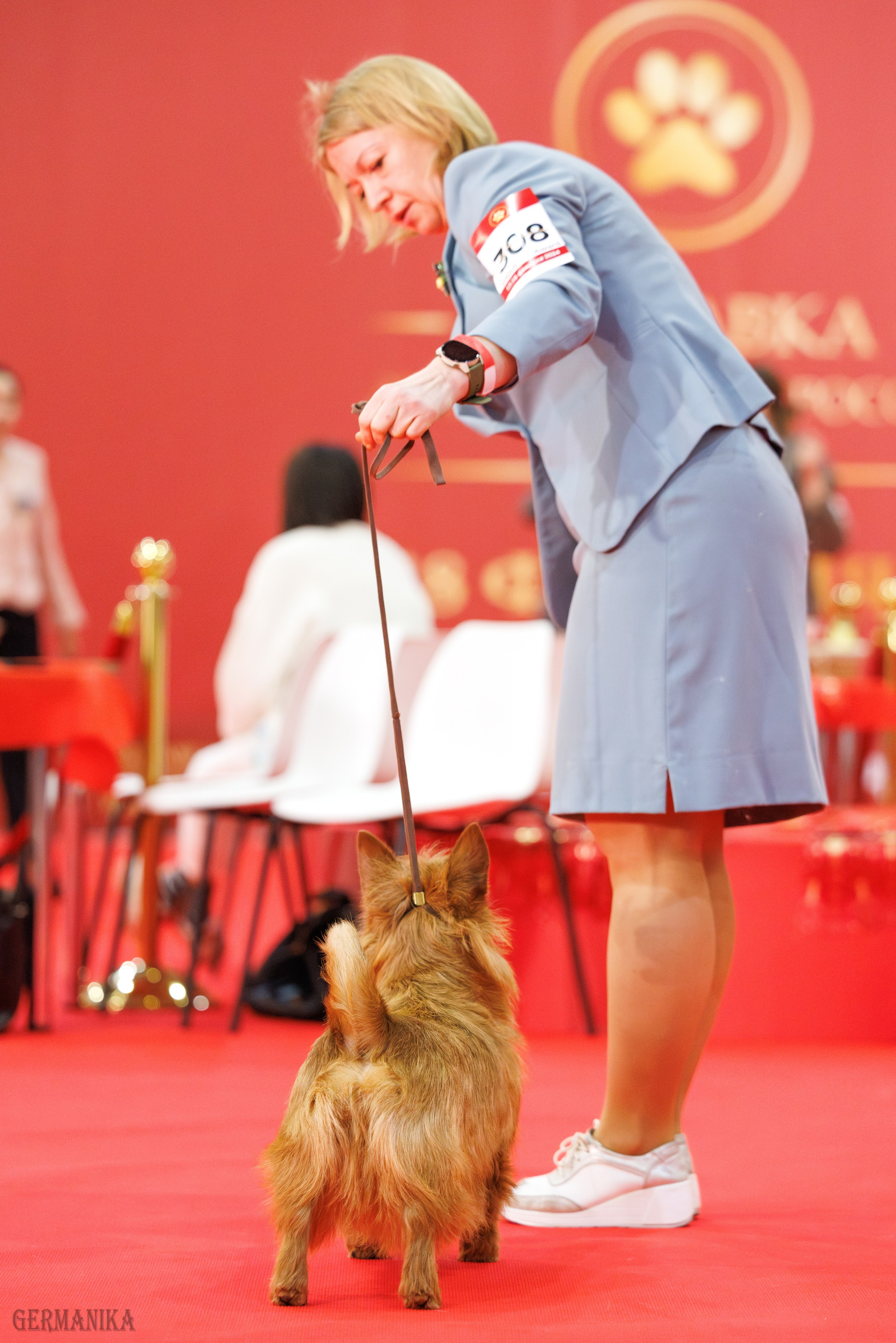 Лучшие Собаки России 17-18.02.2024. Фотограф-анималист Юлия Германика