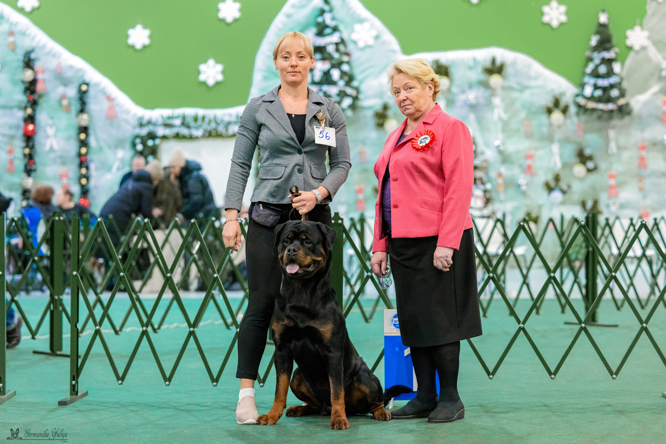 Крокус 3,9 и 10.12.2023. Фотограф-анималист Юлия Германика