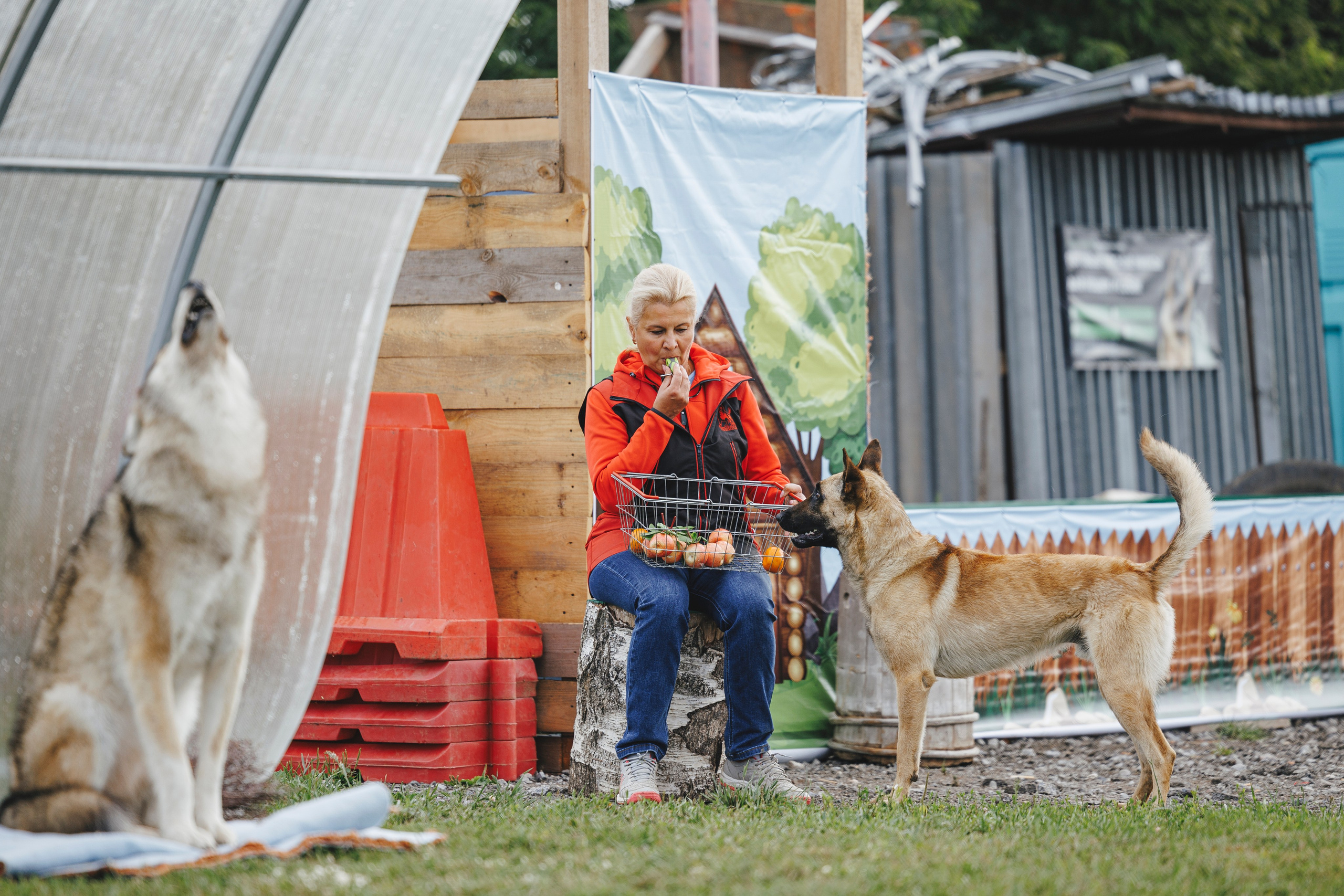 08.08.25-10.08.25 ЧР по мондьорингу г. Вологда. Фотограф-анималист Анна Маринич