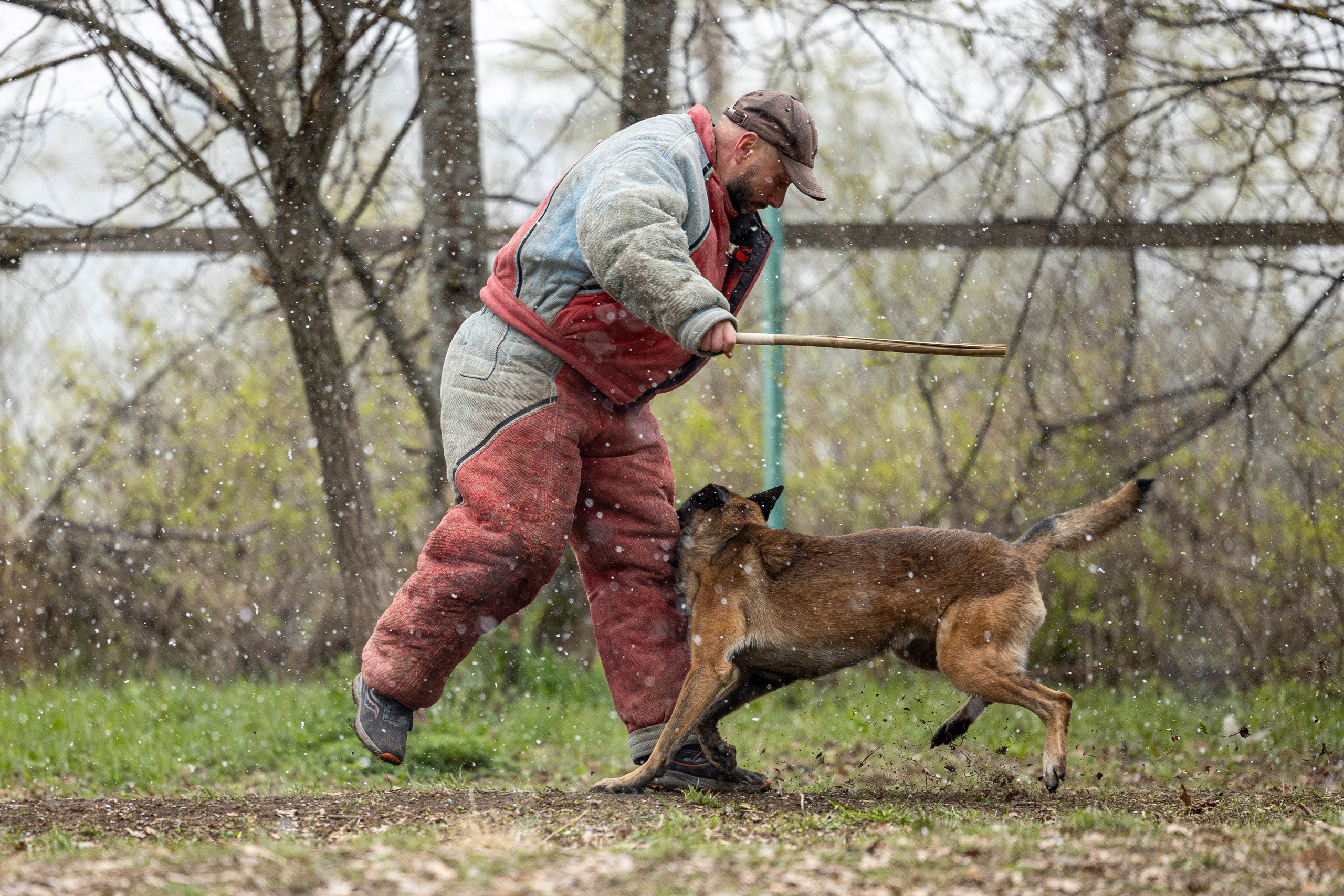 Квалификационные состязания по мондьорингу г. Вологда 11.05.24. Фотограф-анималист Анна Маринич