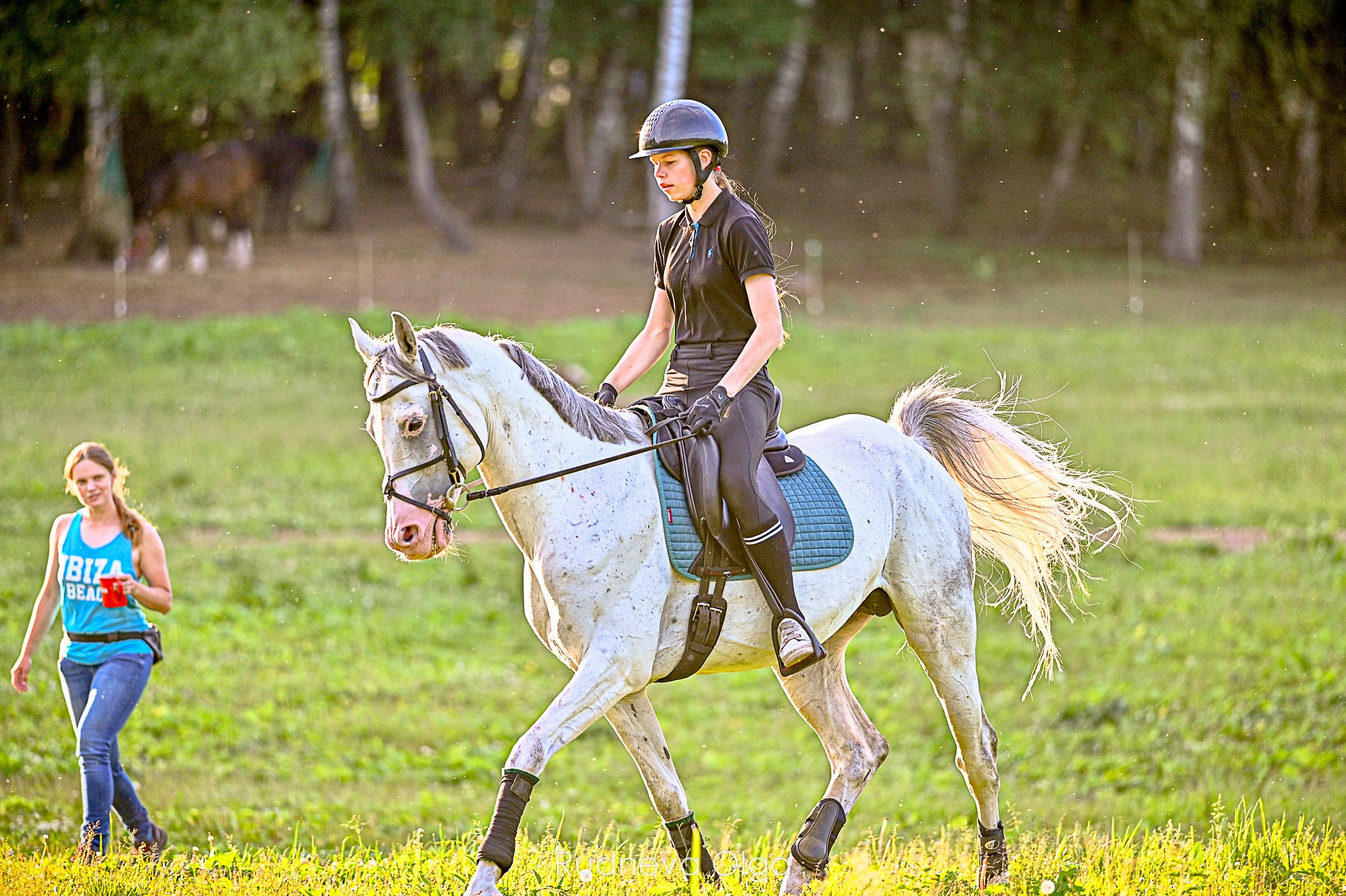 Тренировка КСК Сынково. ТУРНИРНАЯ КОННАЯ ФОТОГРАФИЯ, Руднева Ольга и Евгений Адеев