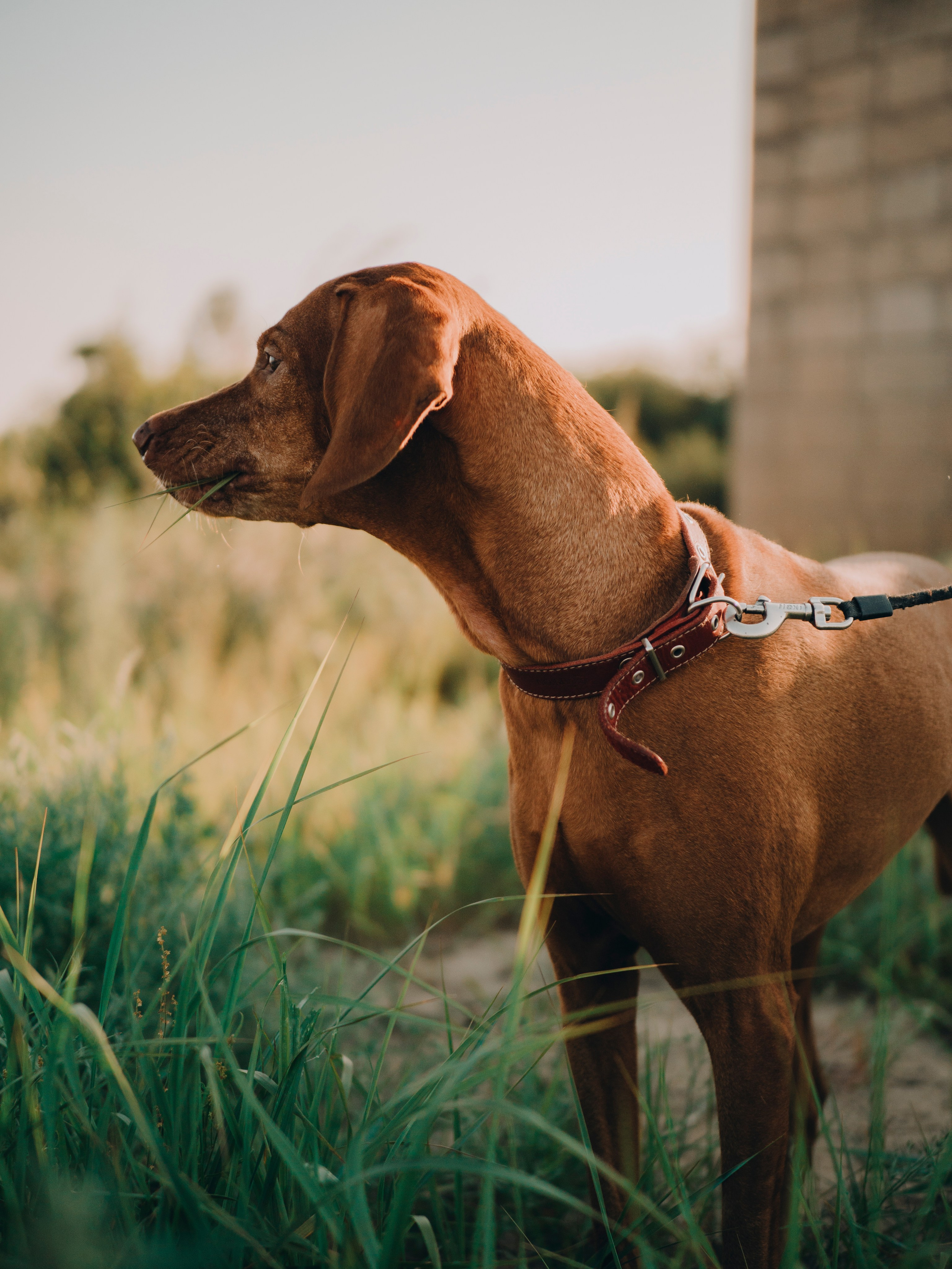 Под мостом. Фотограф и видеограф в Благовещенске и Санкт-Петербурге Мурыгина Мария