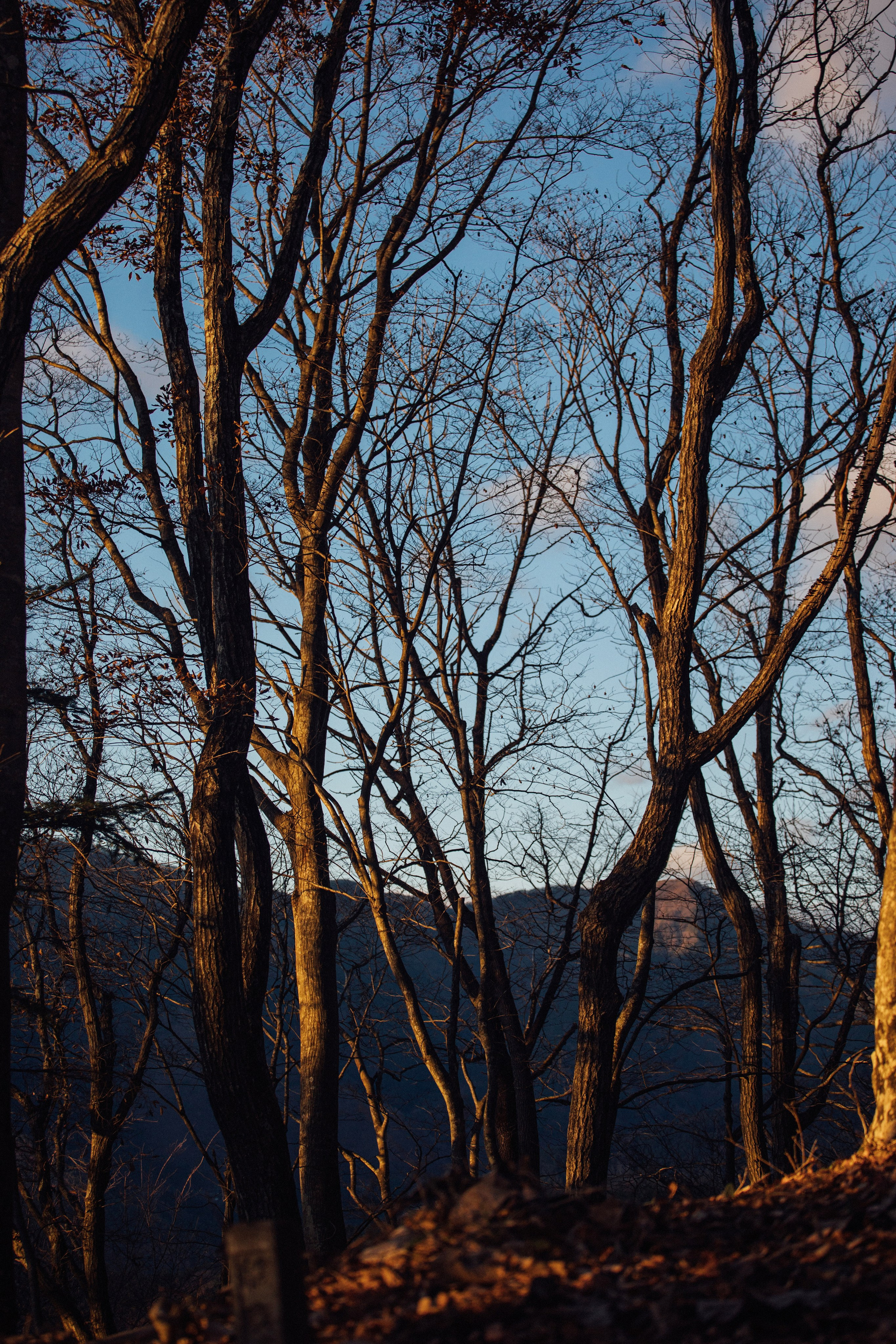 Япония. Главная