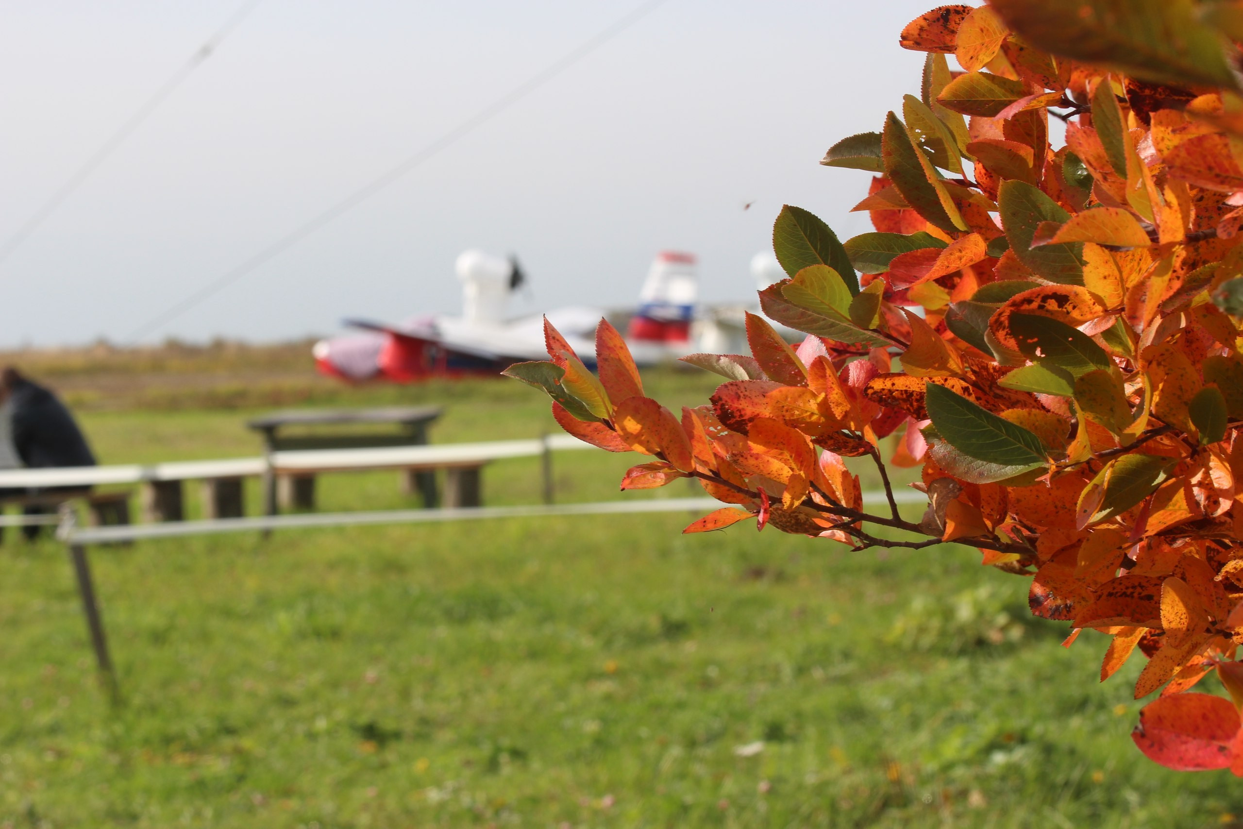 Самолеты и планеры | 02.10.2016. Галерея Фантим