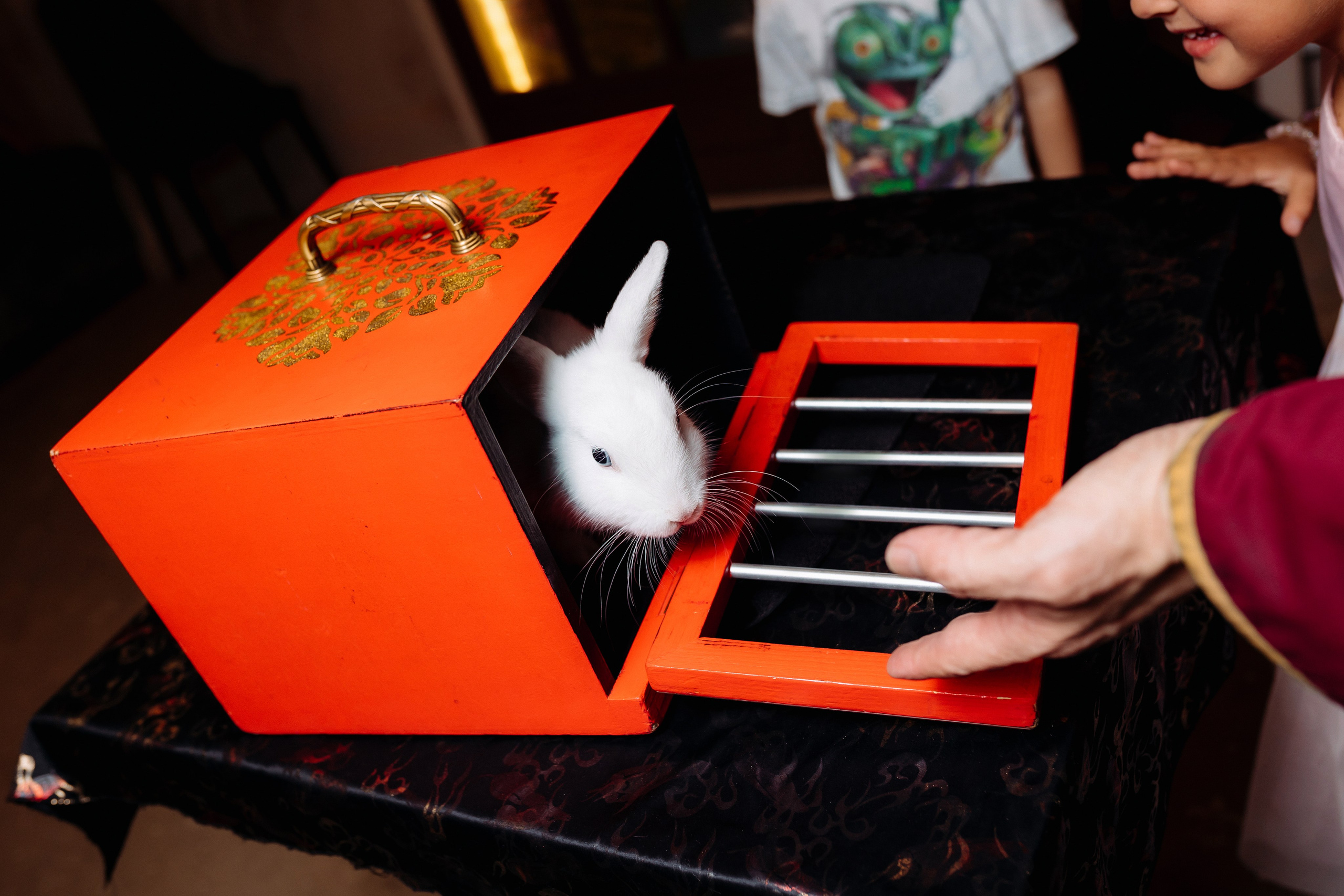 Дни Рождения. Фотограф в Санкт-Петербурге Кирюшенков Андрей