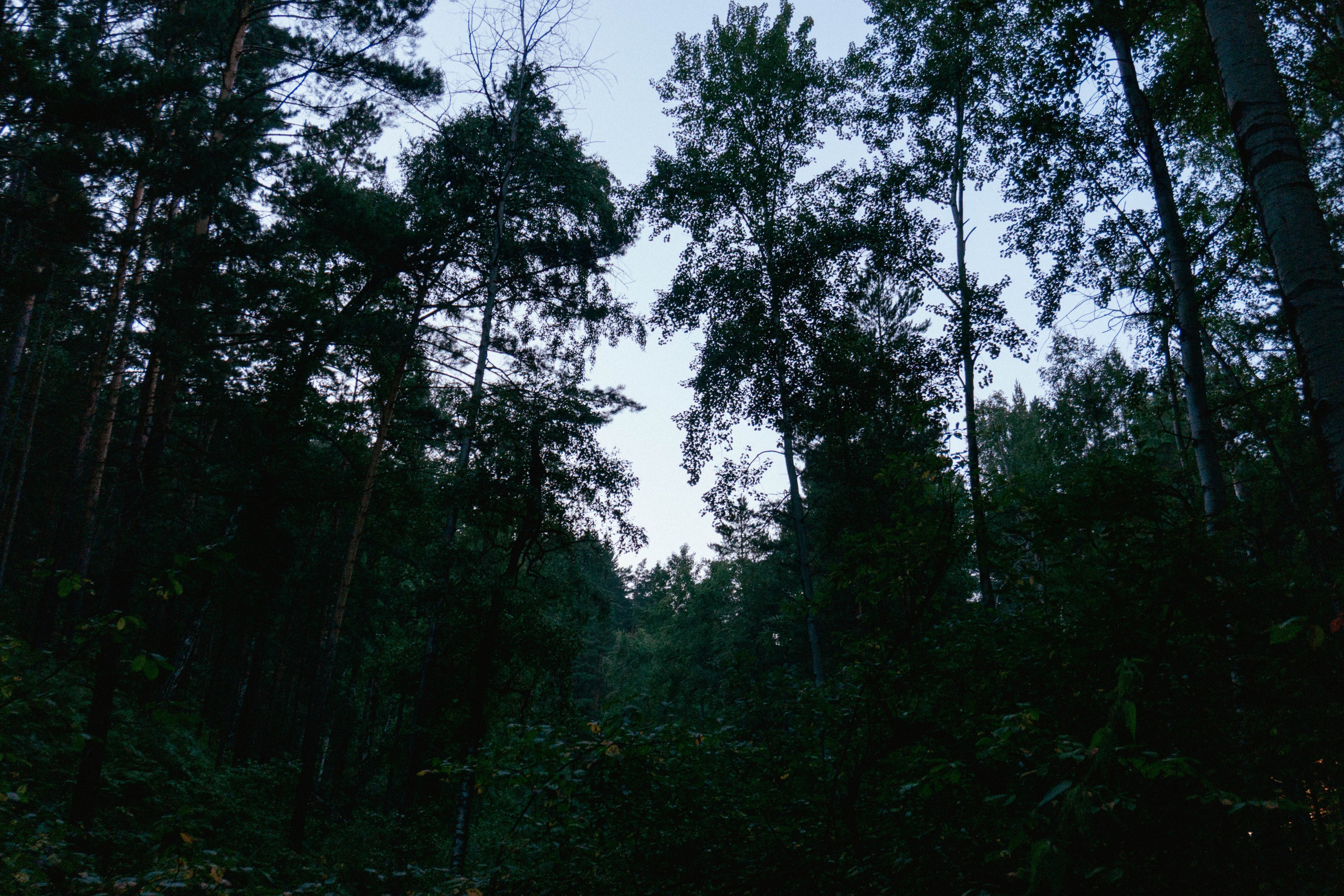 31.07.2025 | Красноярск. Kuznetsov | Фотограф в Красноярске