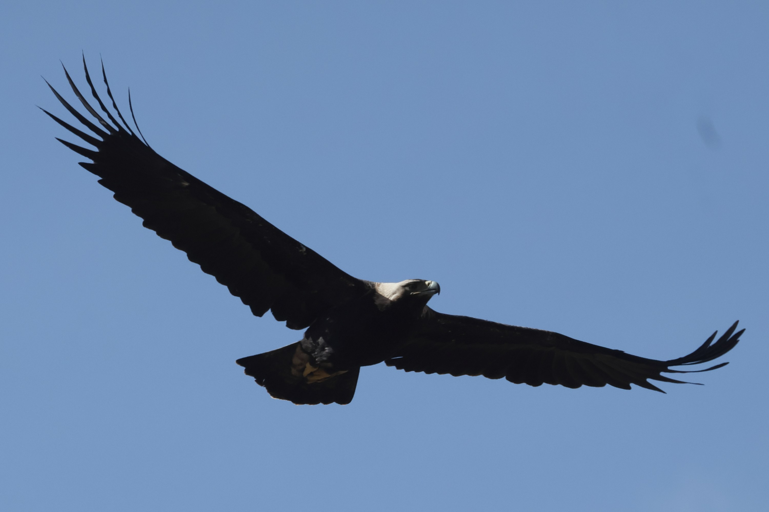 НашиТуры. Кисловодск. Спортивный и репортажный фотограф Ермакова Светлана