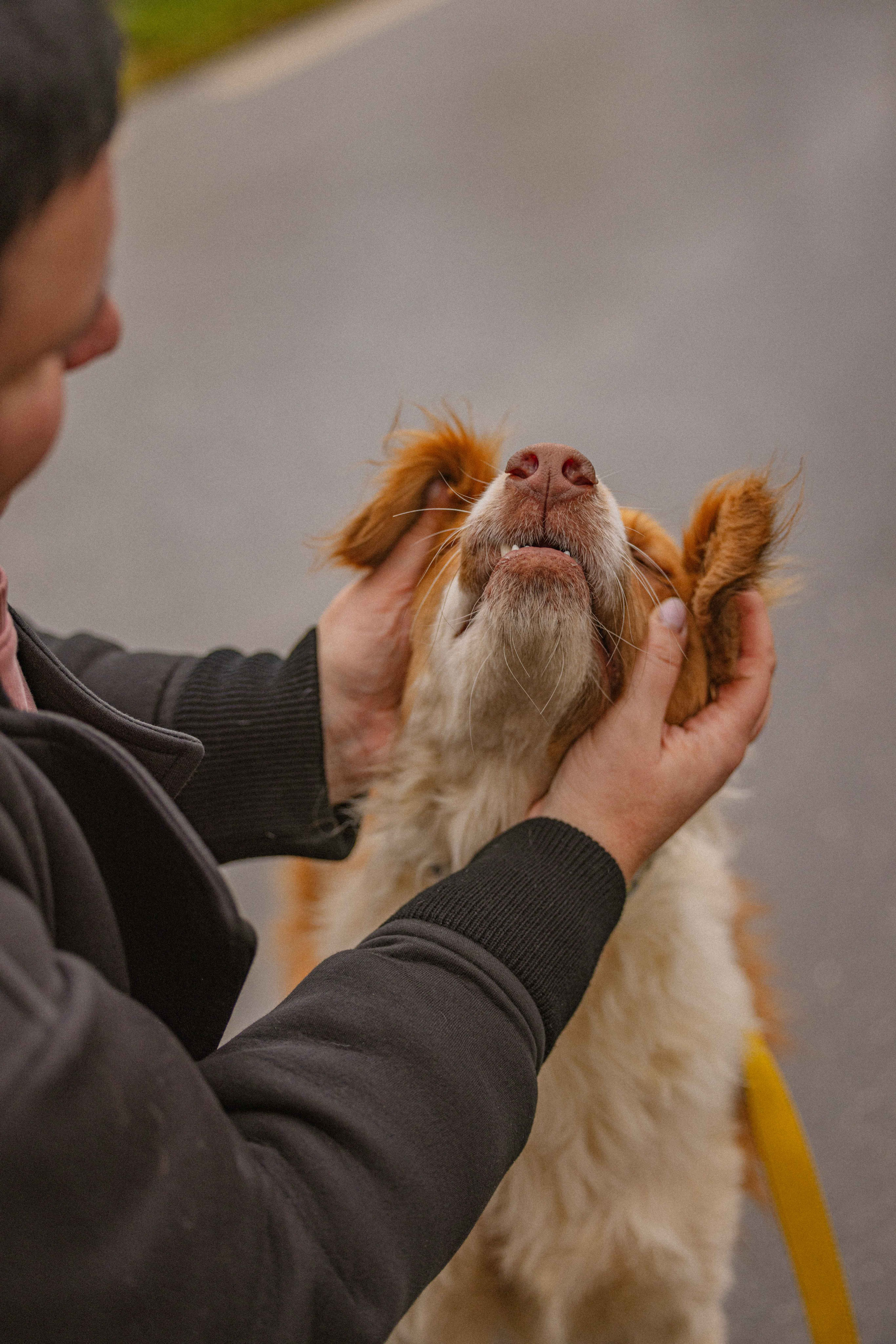 Передержка. Фотограф-анималист в Москве Лера Черноног