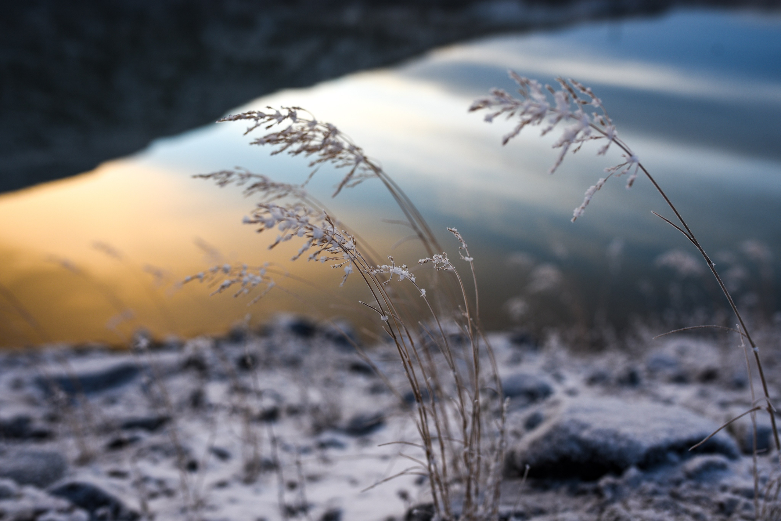 4 seasons. Anastasia Serdyuk, travel photographer, travel photo, portraits, stories, fineart prints