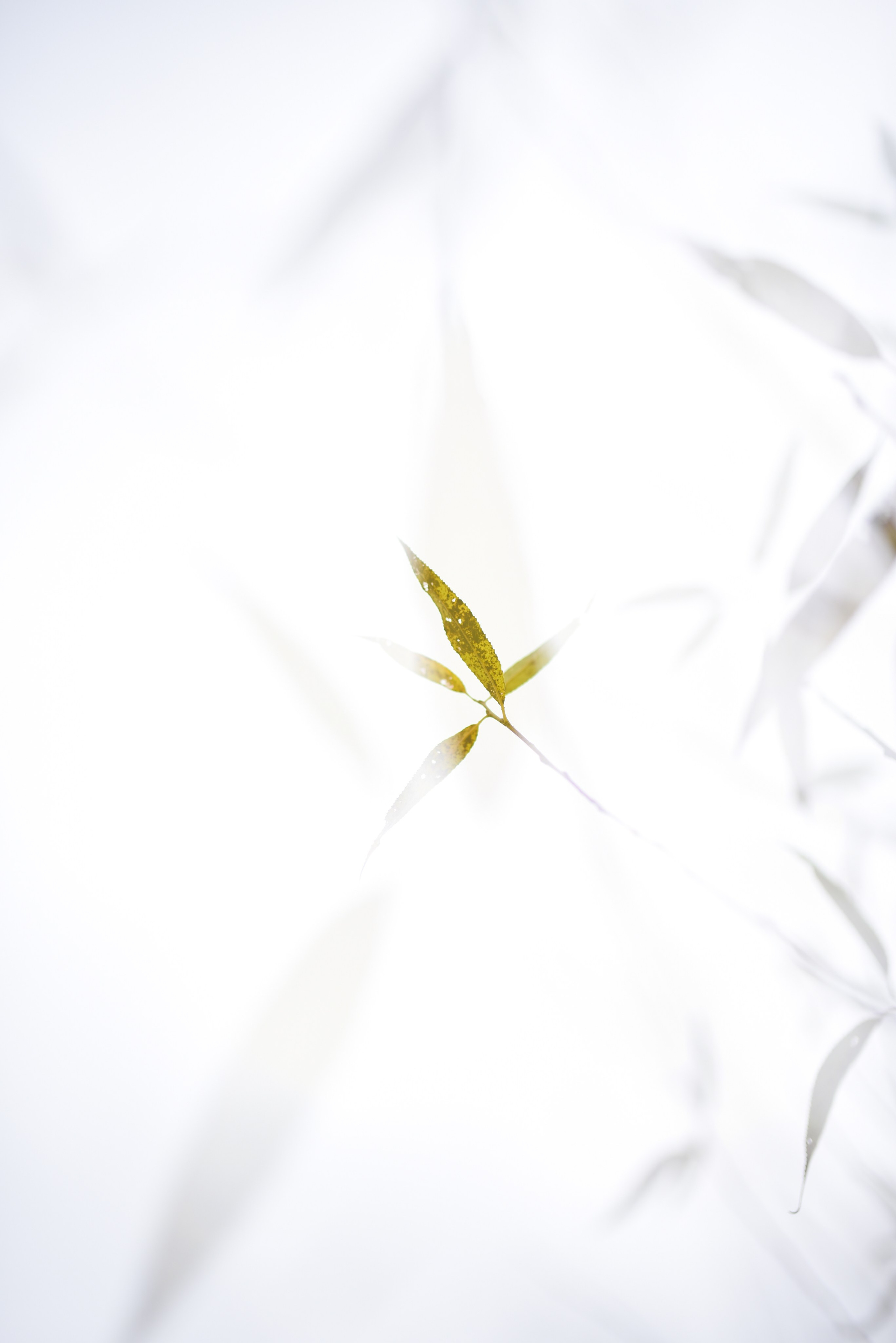 Nature. Anastasia Serdyuk, travel photographer, travel photo, portraits, stories, fineart prints