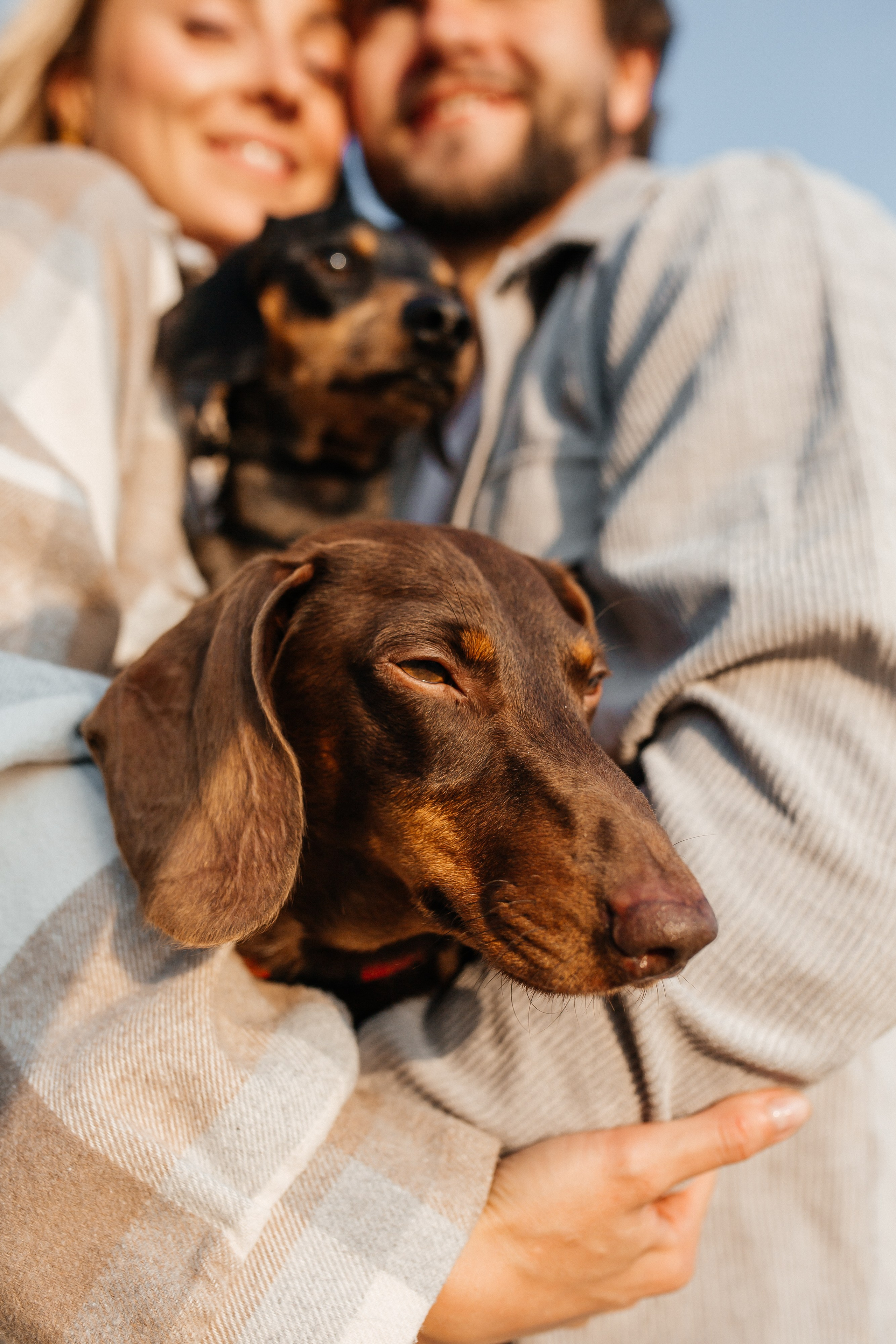 Миша и Даша