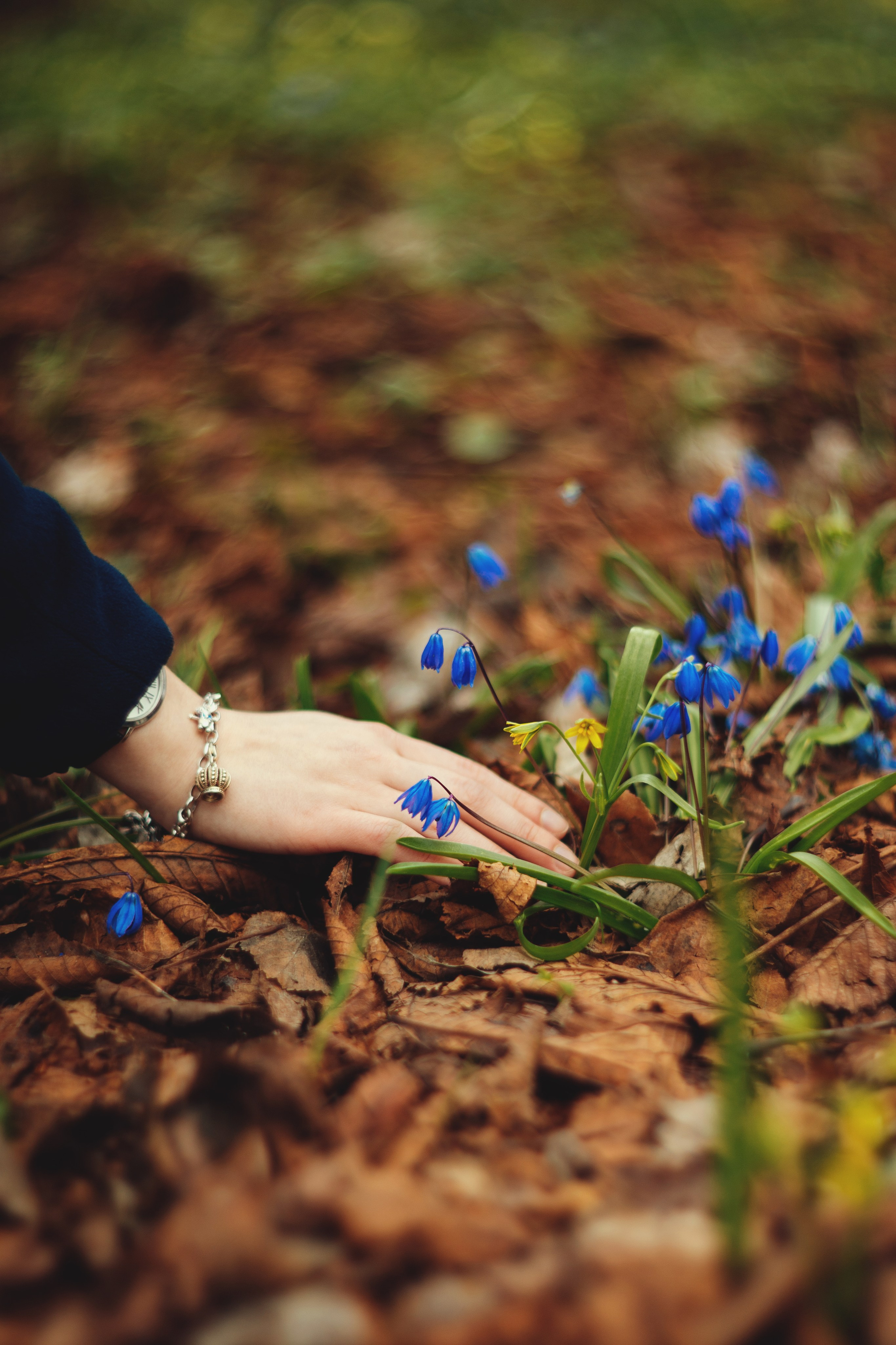 Фотосессия на природе, в парках. Фотограф Вероника Весна| Санкт-Петербург | Питер | Спб | Петербург|