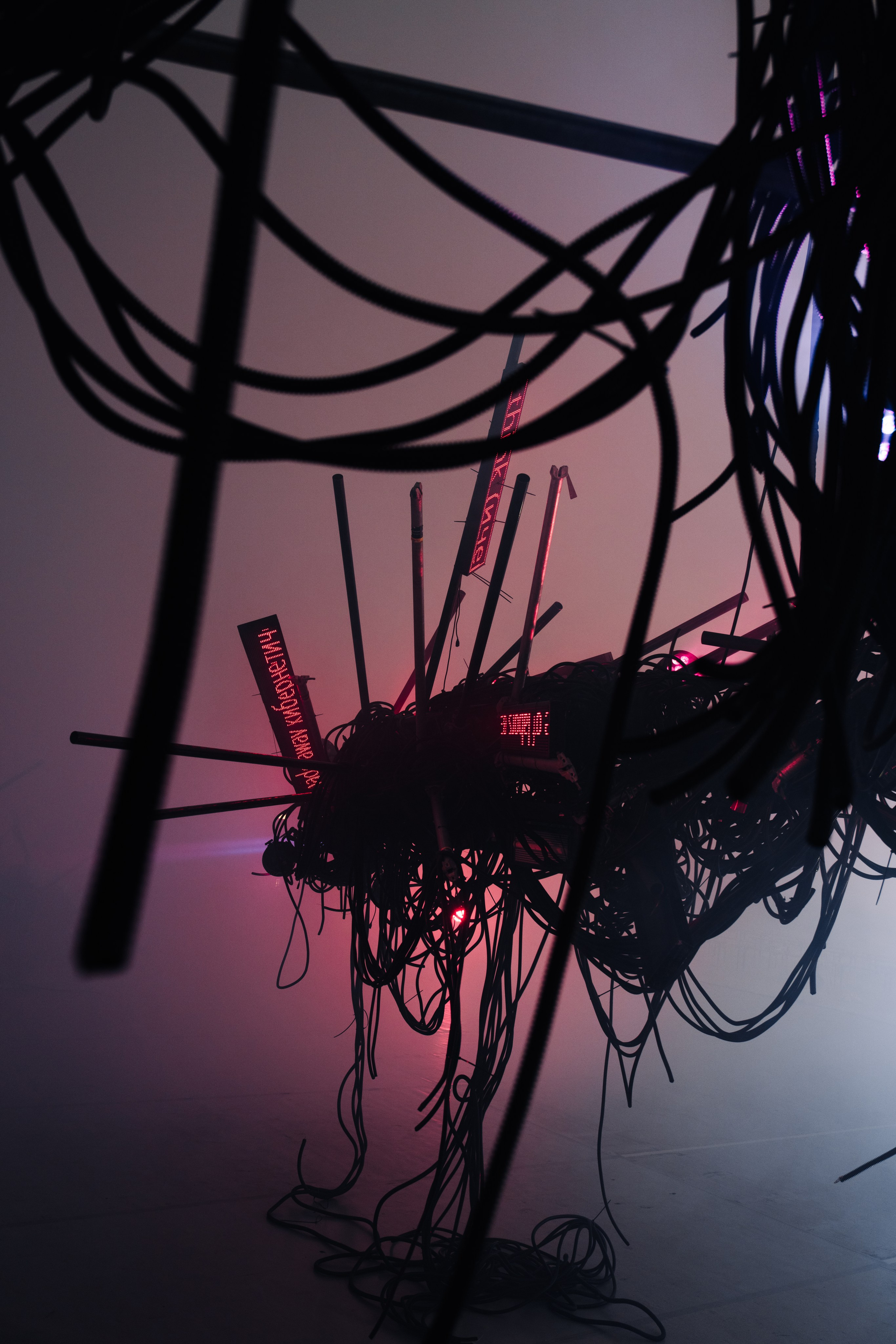 PANTERRA, CHRONOMORPH 001. @tomrus: Рустам Шагиморданов — фотограф