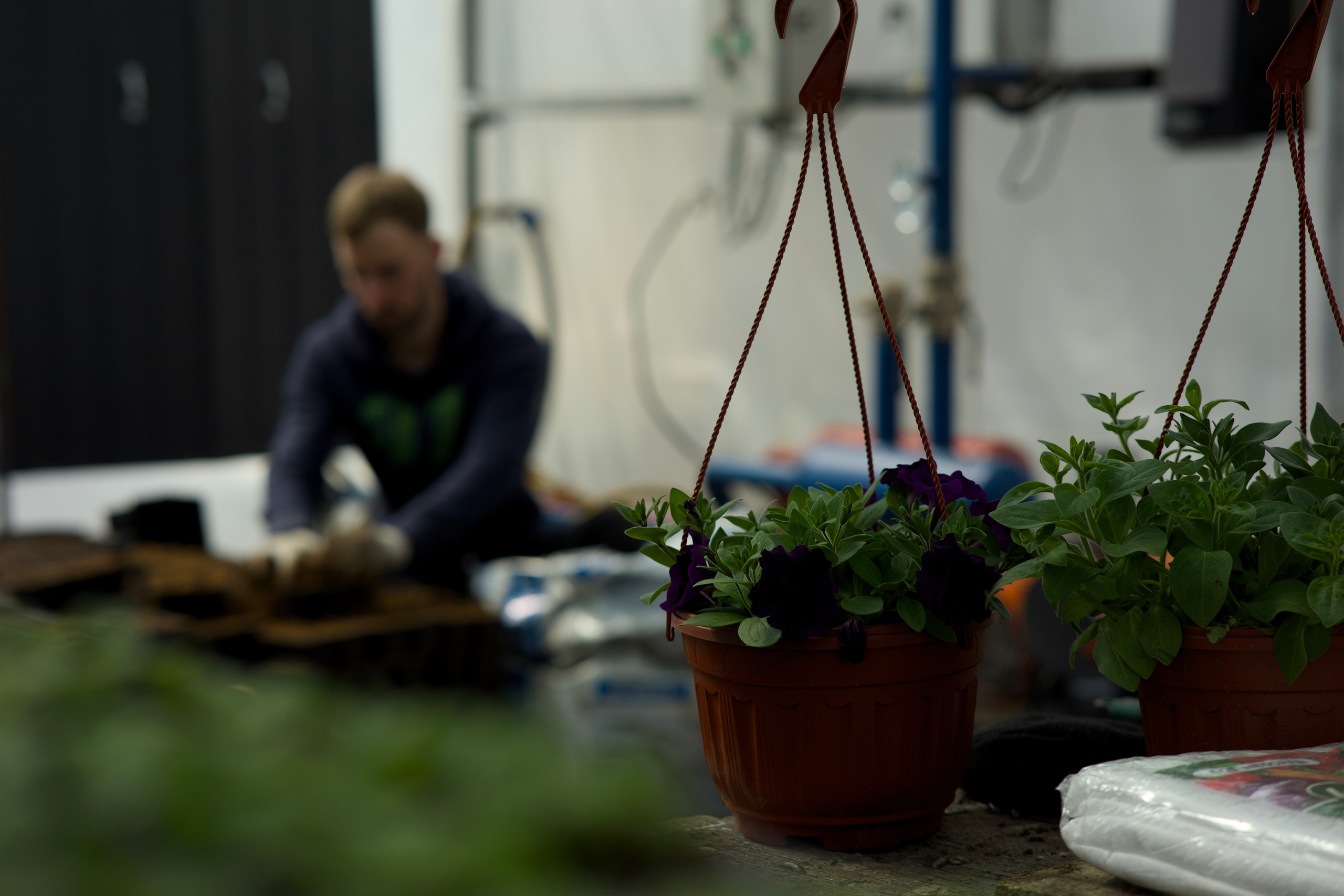 Съёмка для питомника растений «Лаки» под Екатеринбургом. Фотограф в Екатеринбурге: венчания, крещения, репортаж. Видео и трансляции. Официальный фотограф Екатеринбургской епархии