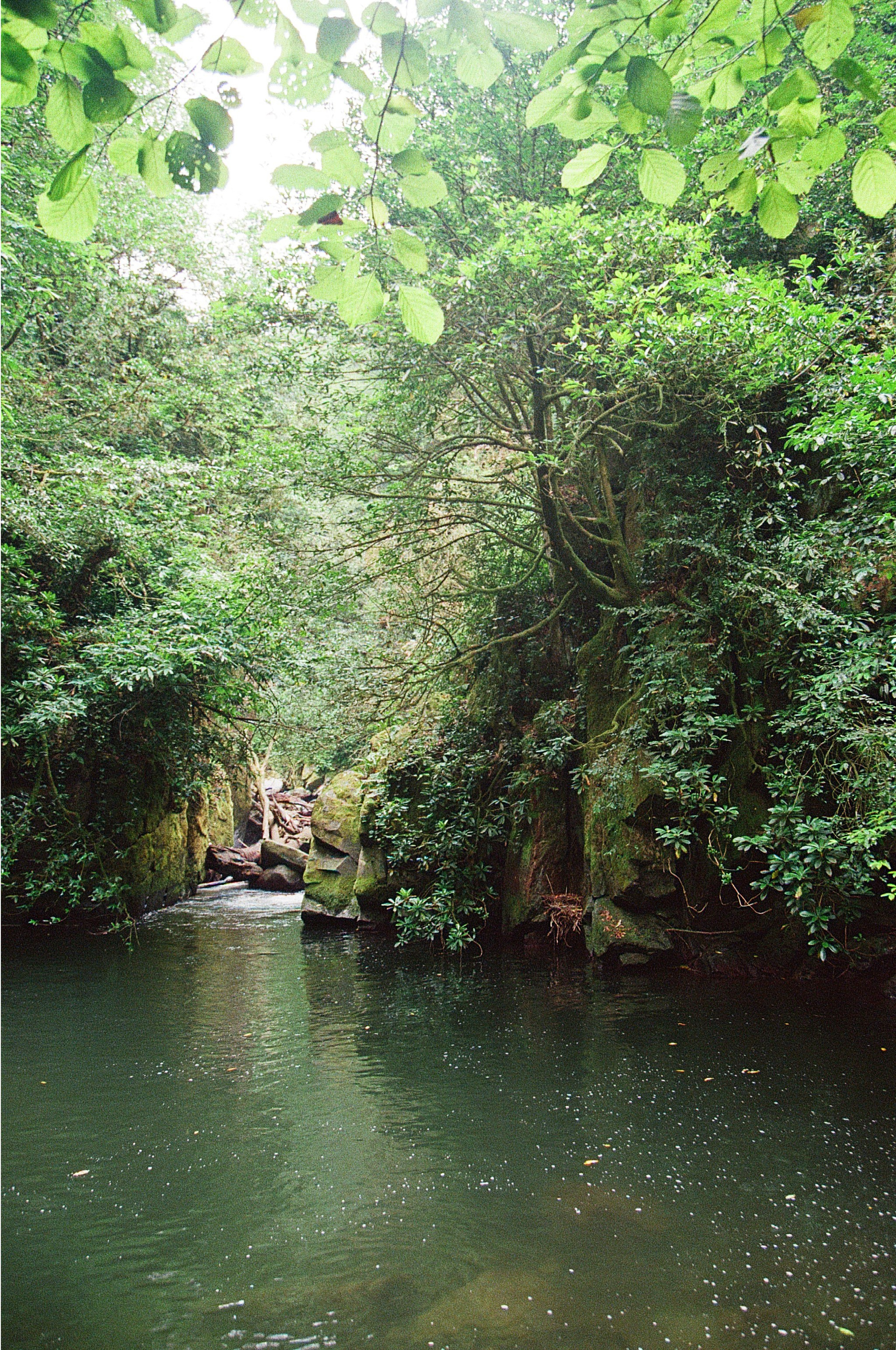 ГРУЗИЯ. ПРИРОДА.25. Профессиональный фотограф Федотова Арина