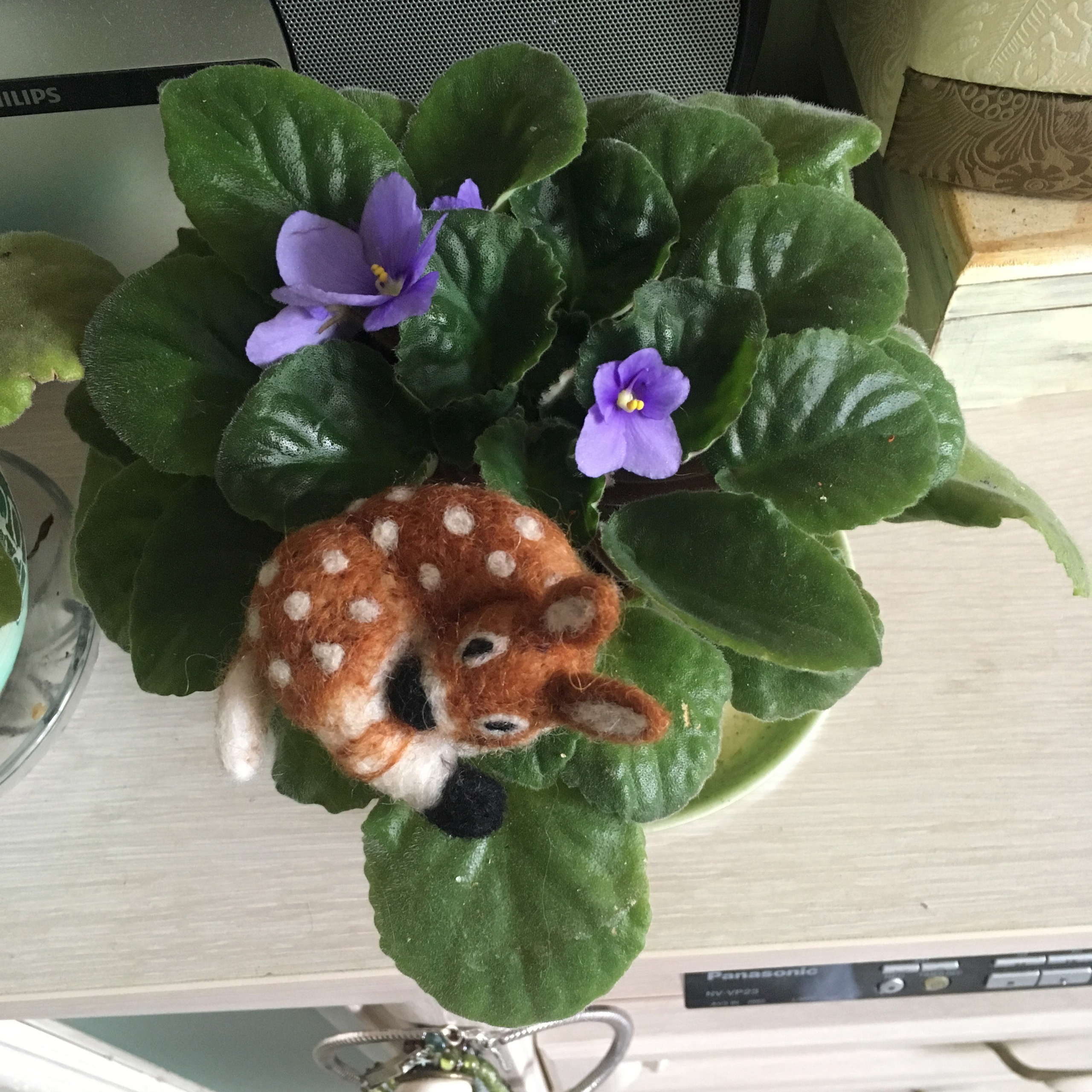 Дивоостров -19. Своя Мастерская