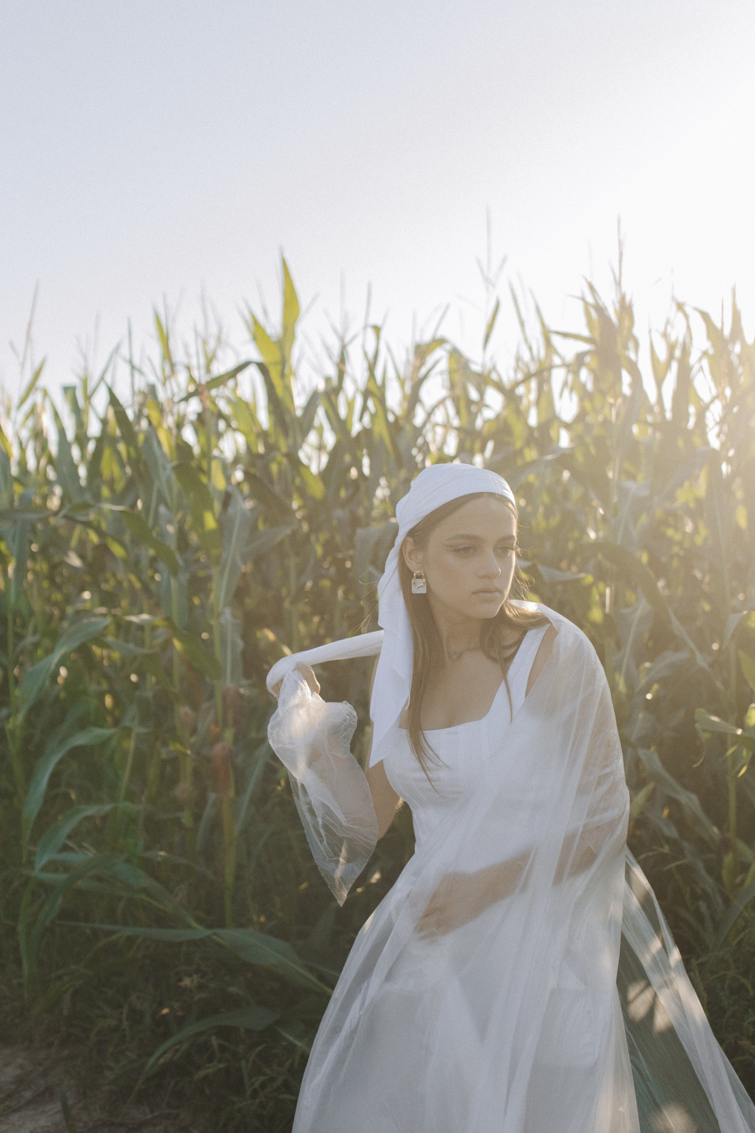 Любовь нашла в кукурузе