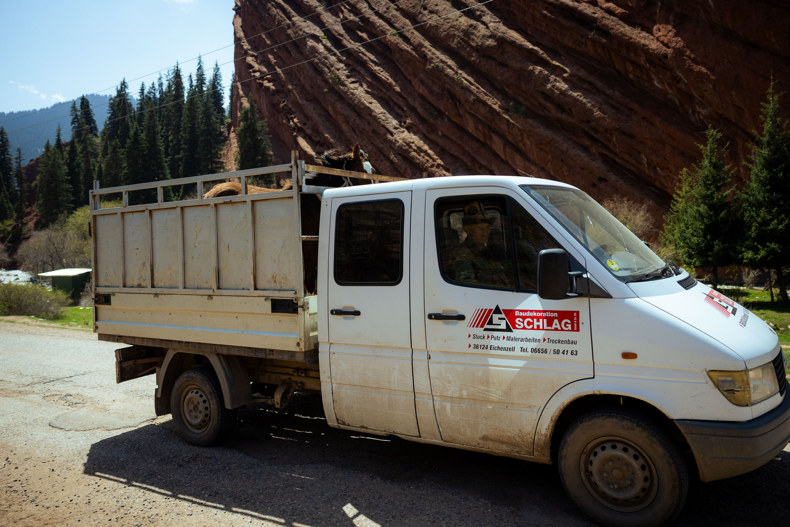 Кыргызстан (весна 2025). Фотограф Виноградов Константин