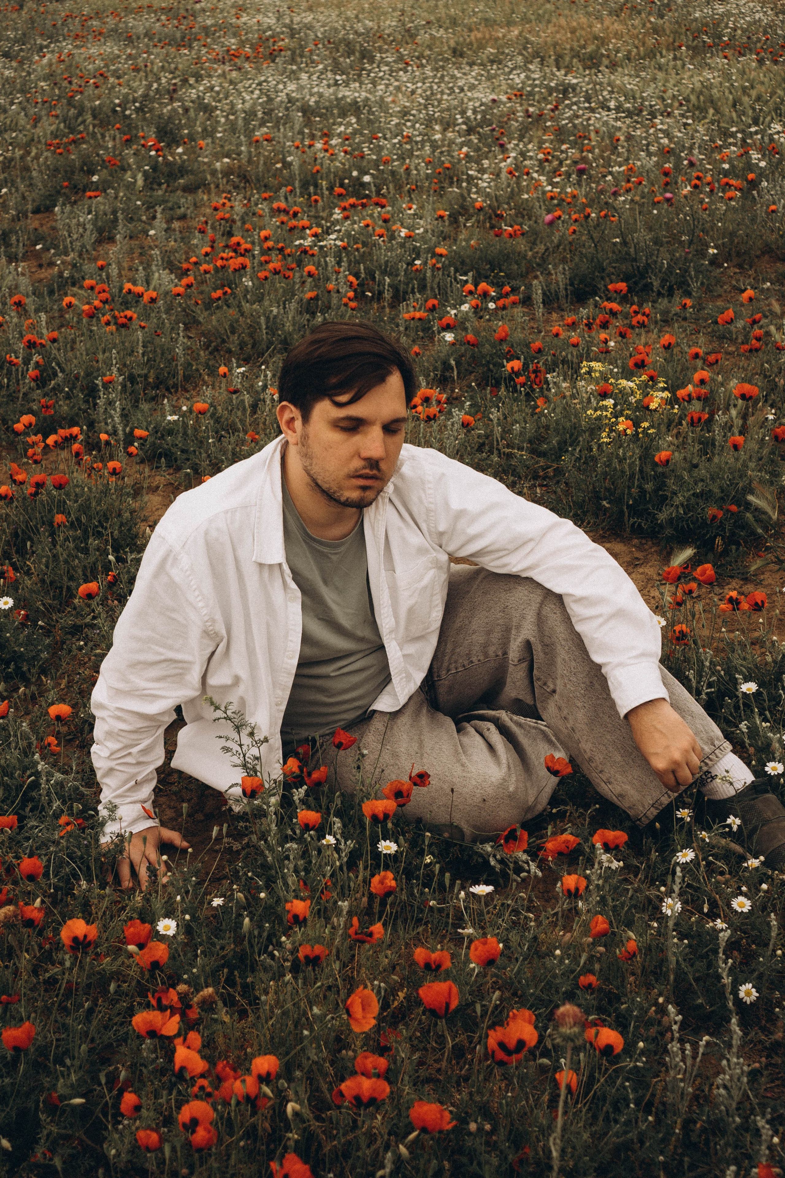 Маки. Профессиональный фотограф, Санкт-Петербург — Виктория Богомолова