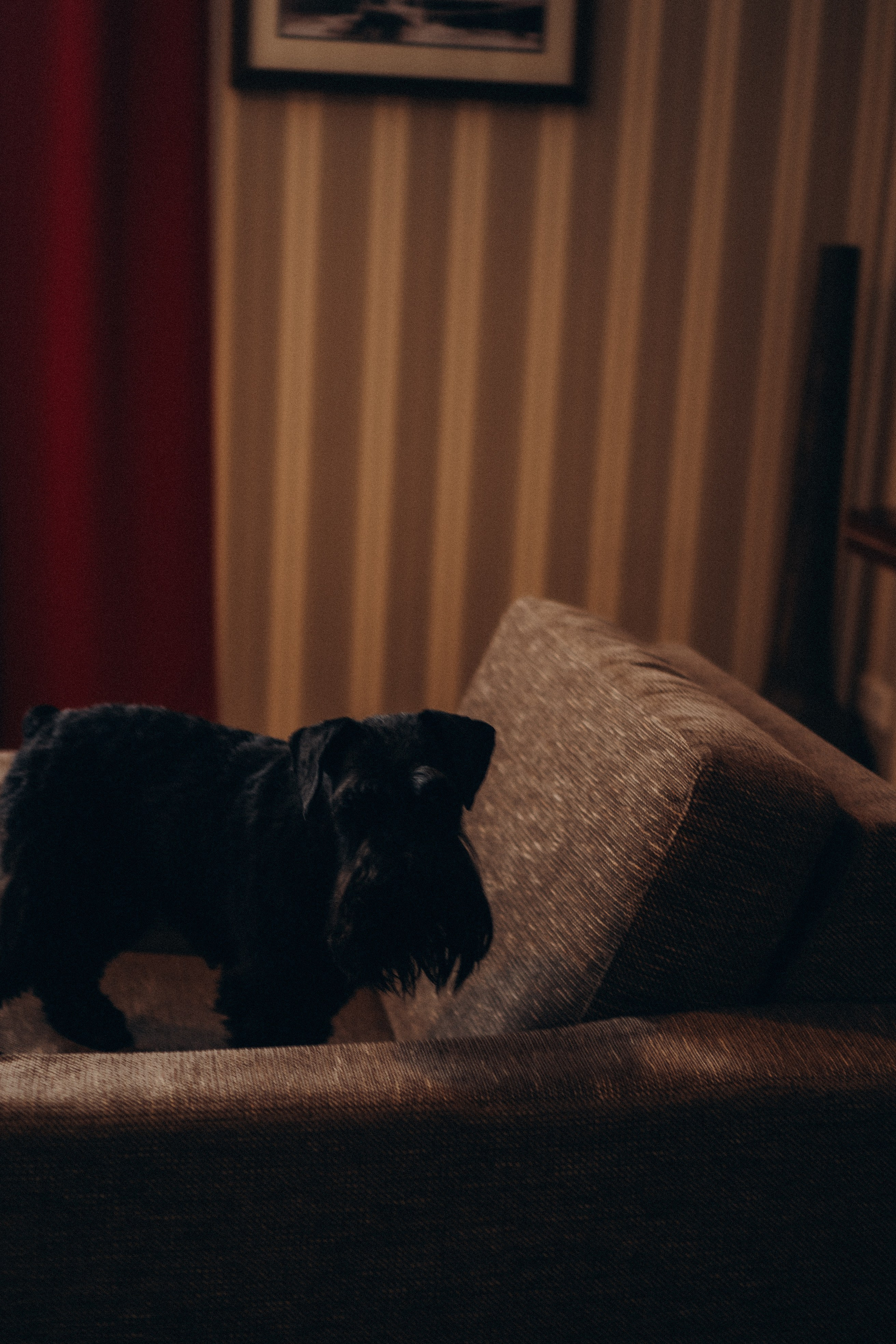 ДЕНЬ РОЖДЕНИЯ. Профессиональный фотограф, Санкт-Петербург — Виктория Богомолова