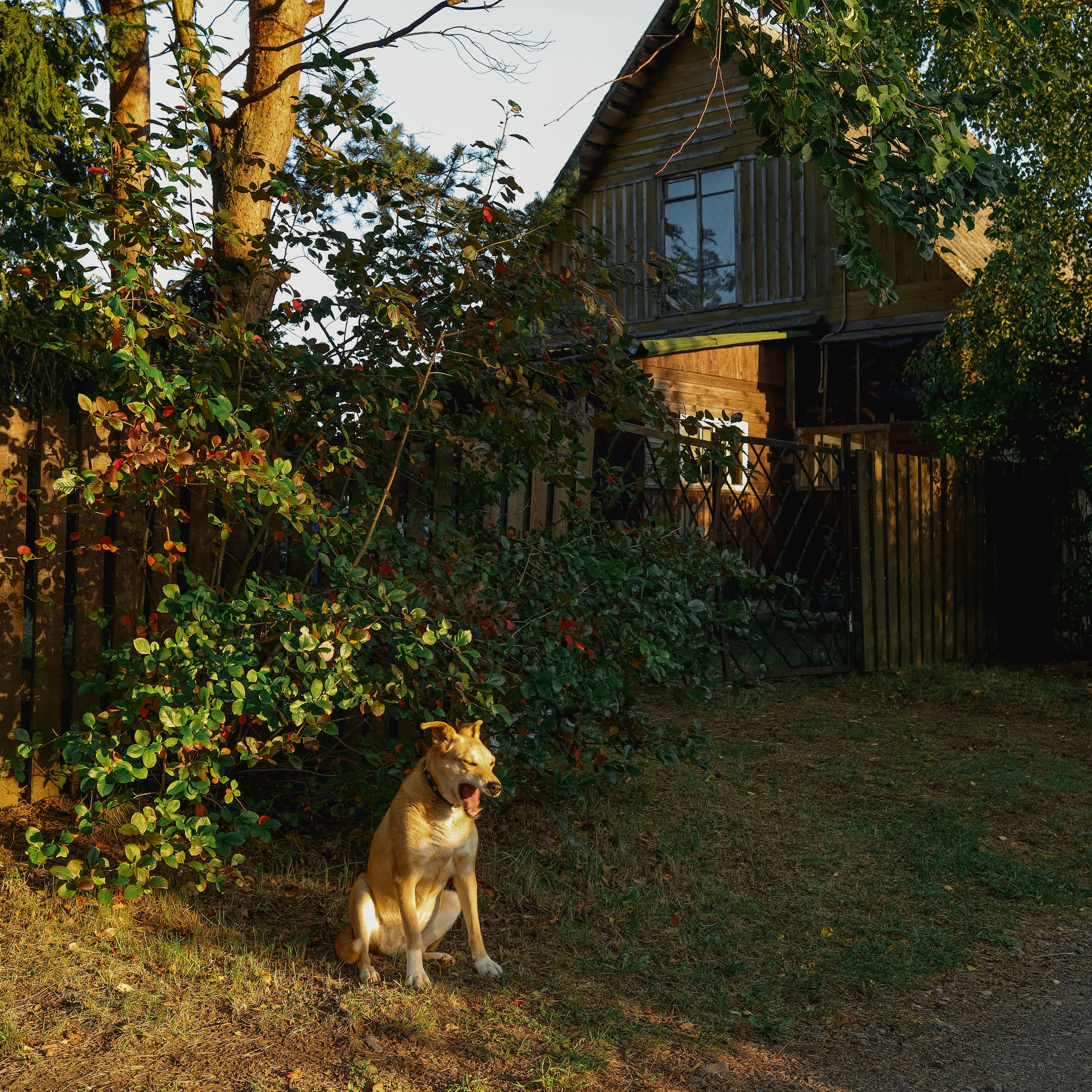 Природа &. Фотохудожник в СПб