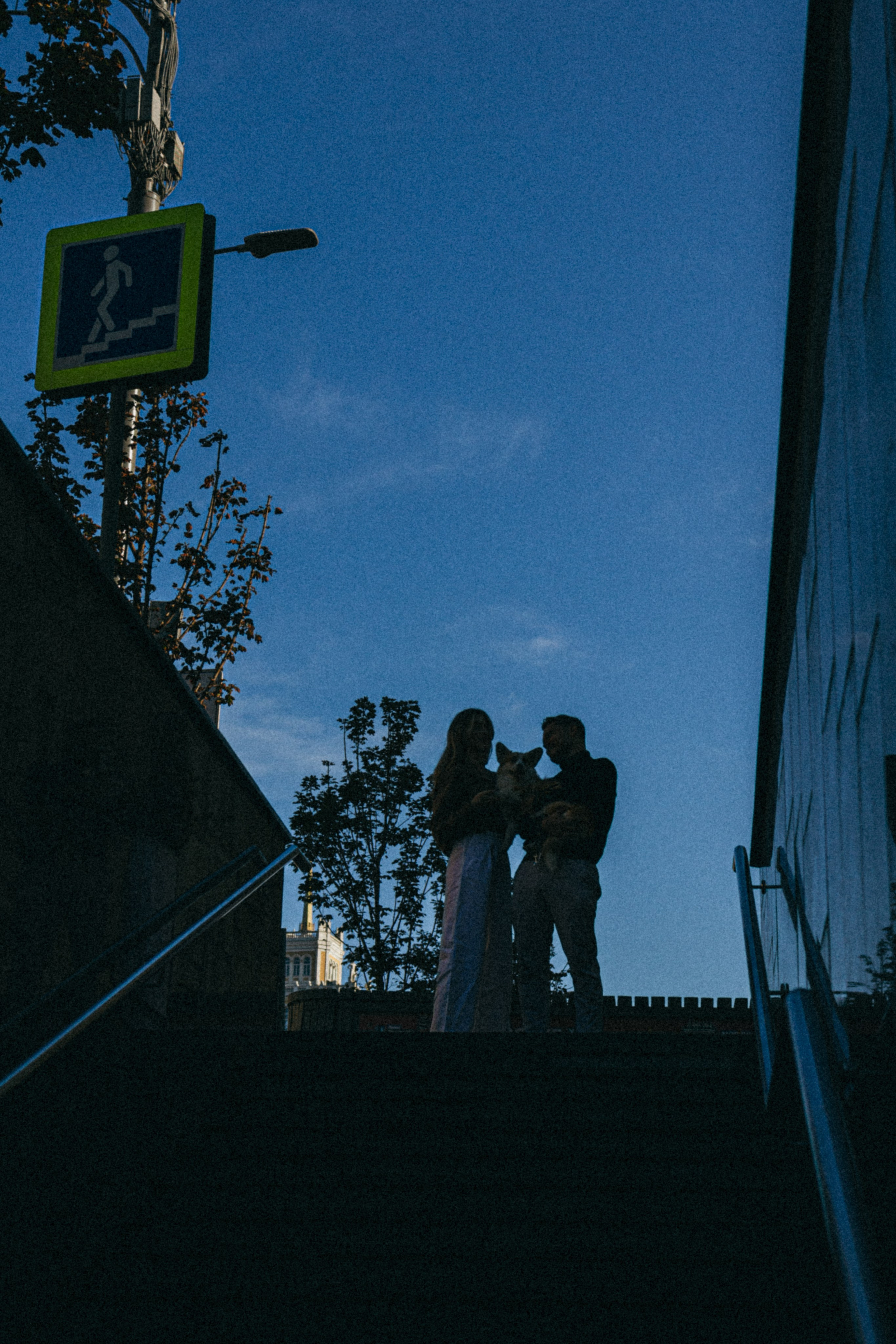 Даша, Рома и Лесли. Фотораф — анималист Мария Шистка