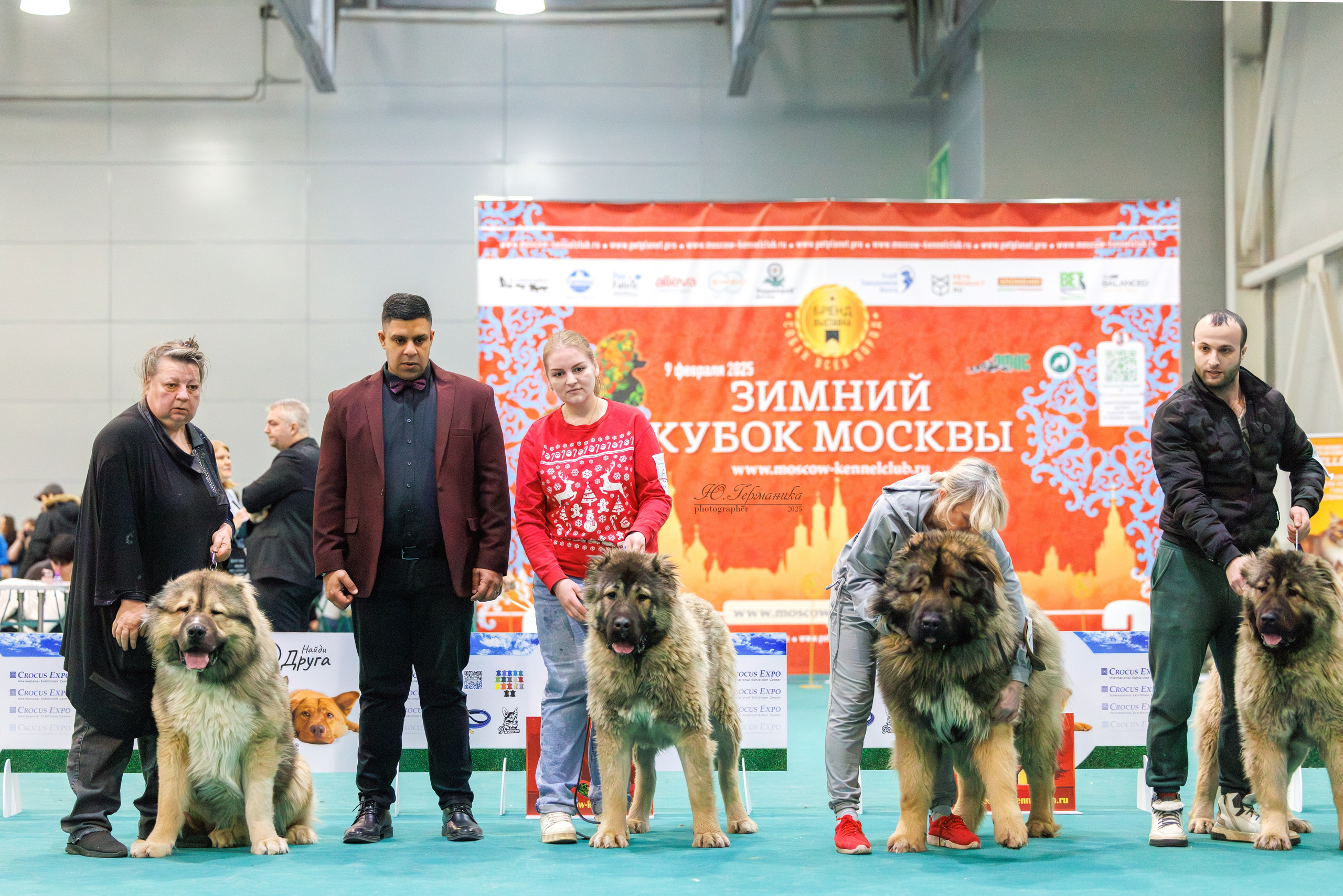 Гран-При 8.02.2025 и Крокус 09.02.2025. Фотограф-анималист Юлия Германика