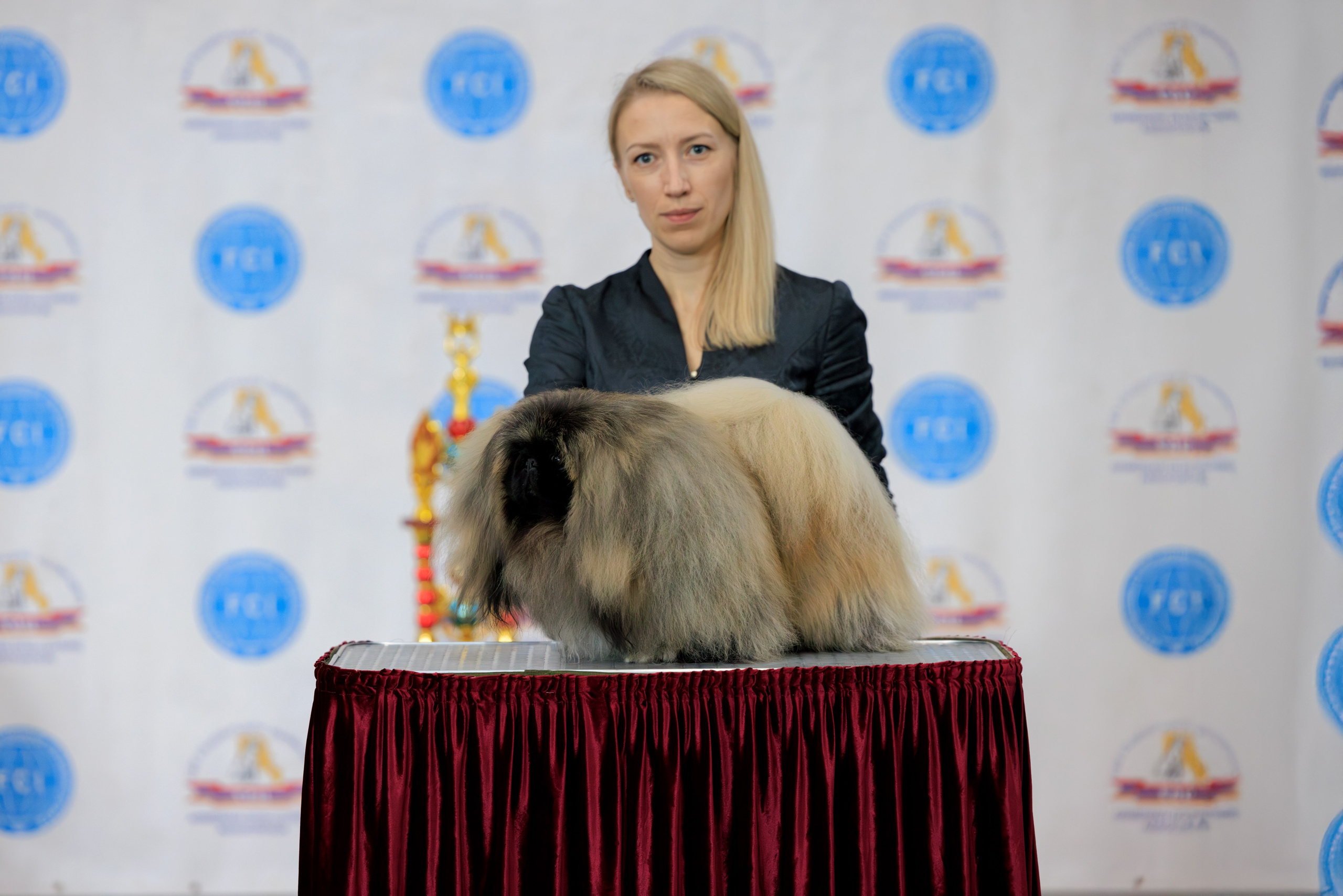 Ереван 2х CACIB 29-30.04.2025. Фотограф-анималист Юлия Германика