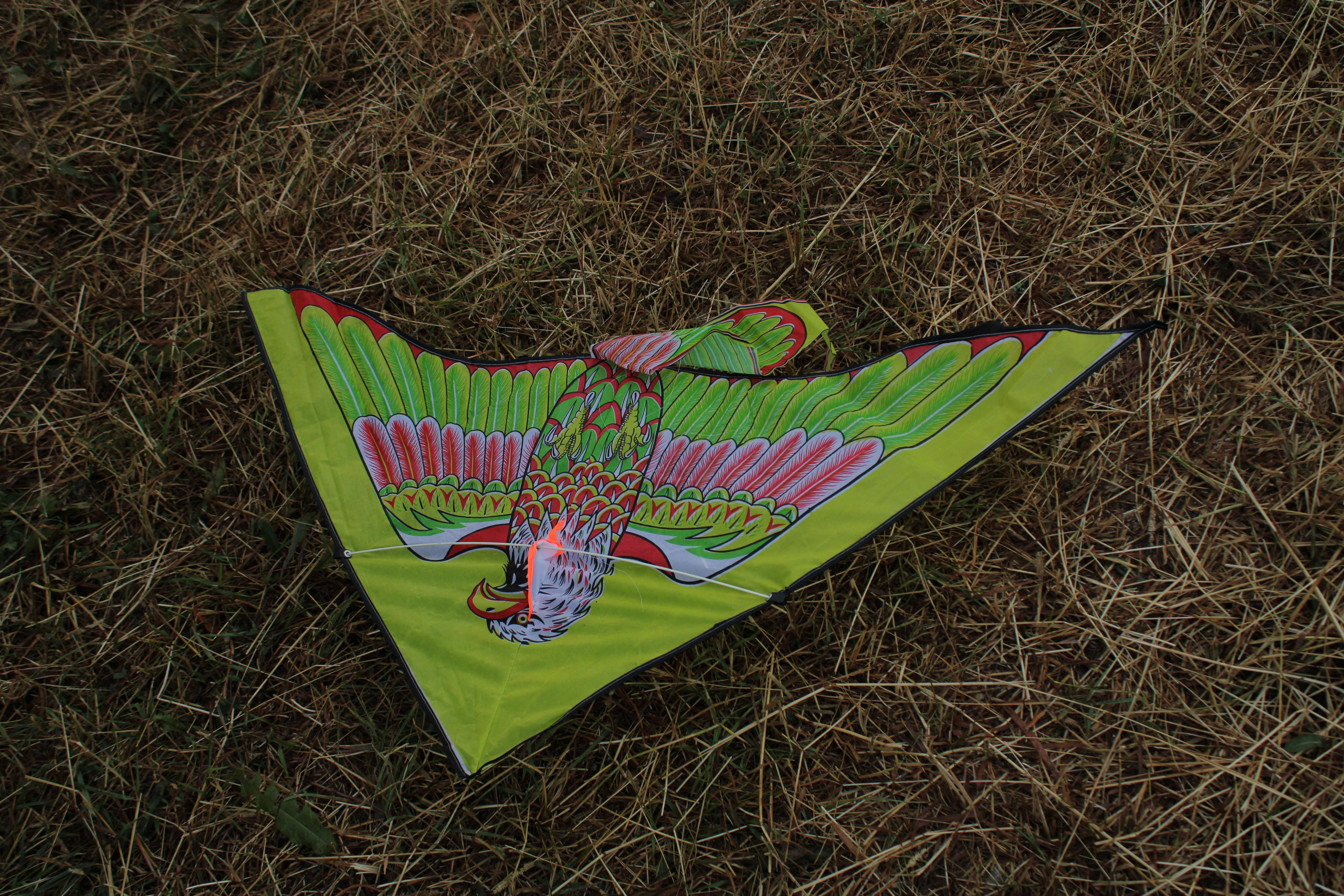 Семейная прогулка в окресностях Пушкина. Позитивный контент-фотограф в Санкт-Петербурге Мария Устинова