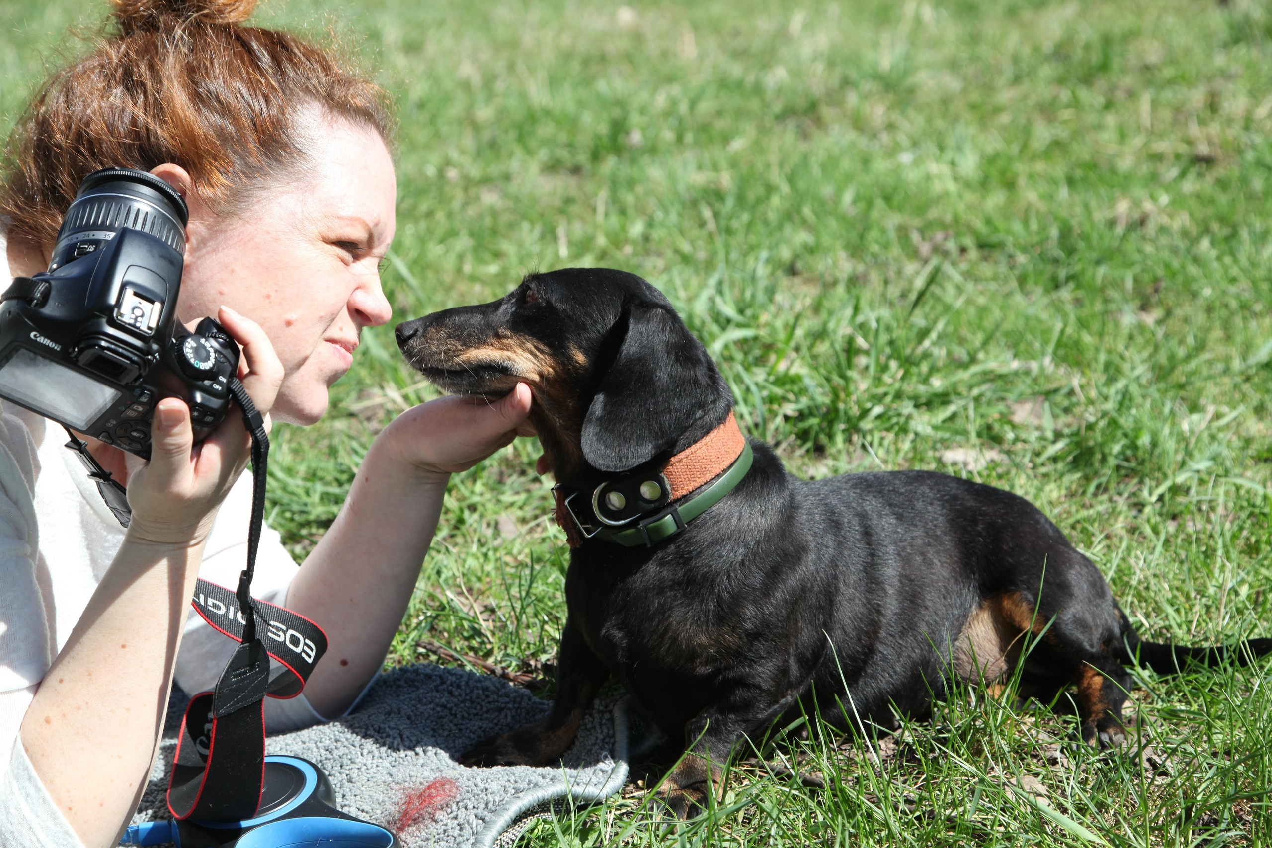 Таксы). Позитивный контент-фотограф в Санкт-Петербурге Мария Устинова