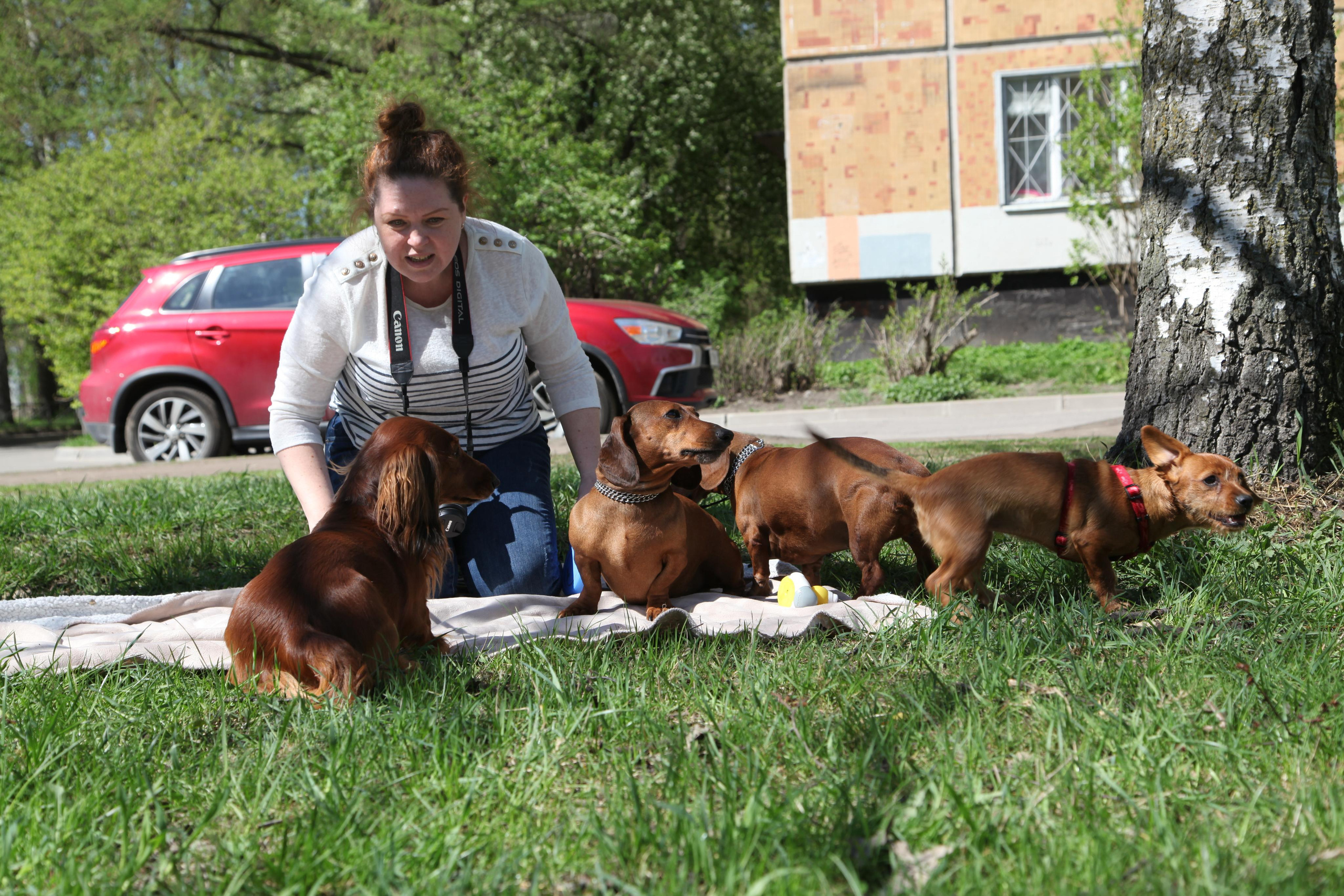 Таксы). Позитивный контент-фотограф в Санкт-Петербурге Мария Устинова