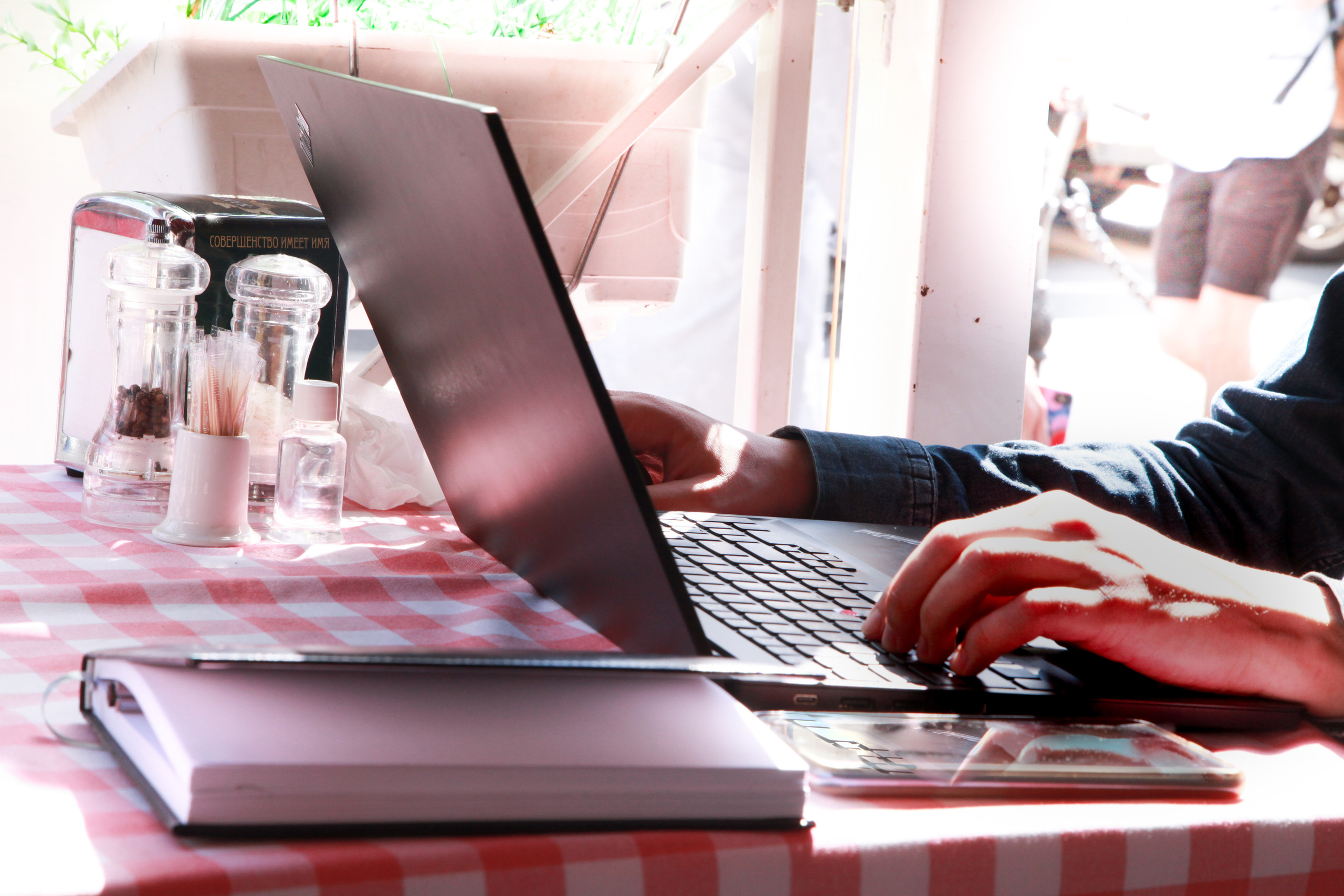 Портрет веб-разработчика