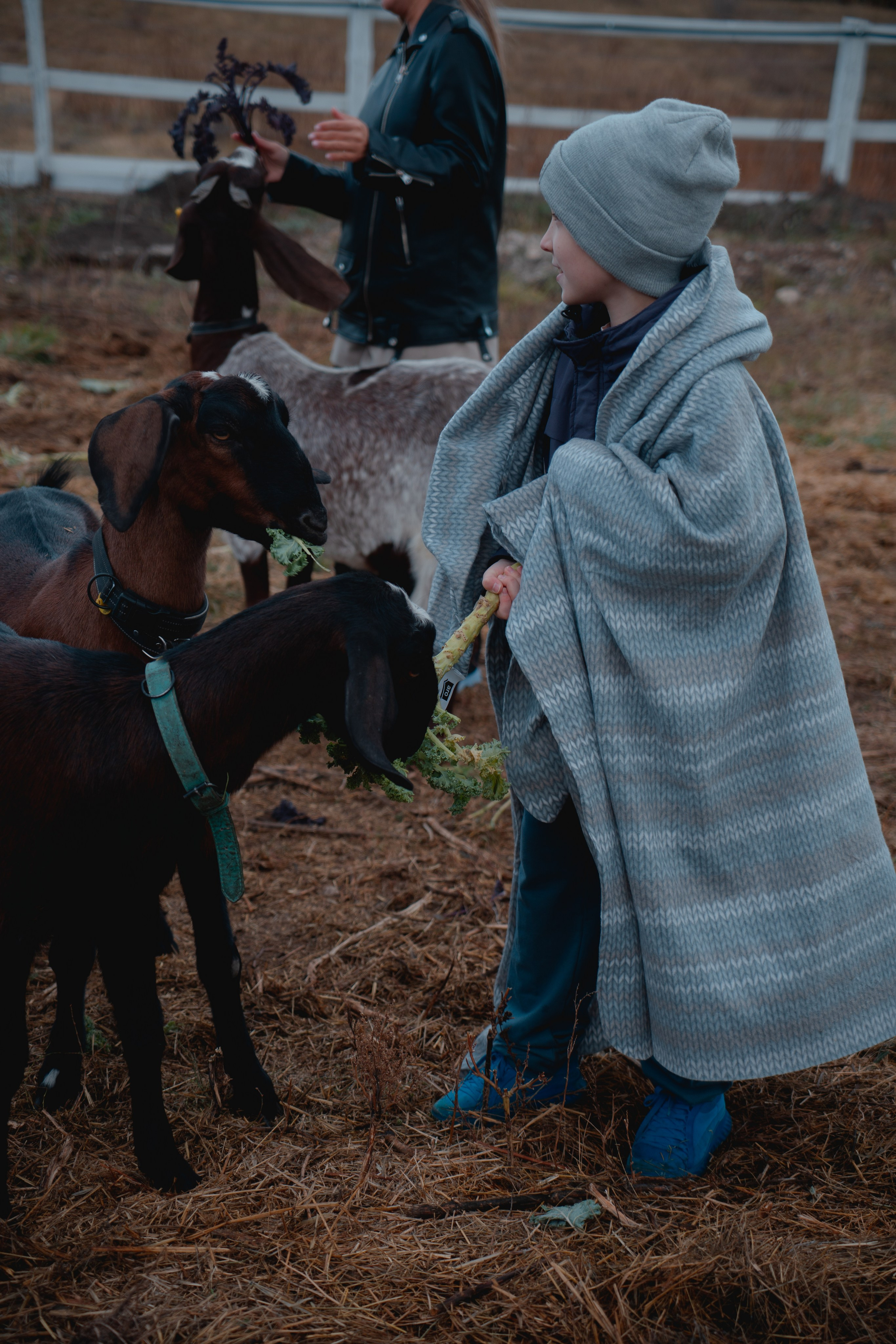 Ферма Основание. Фотограф г. Тольятти