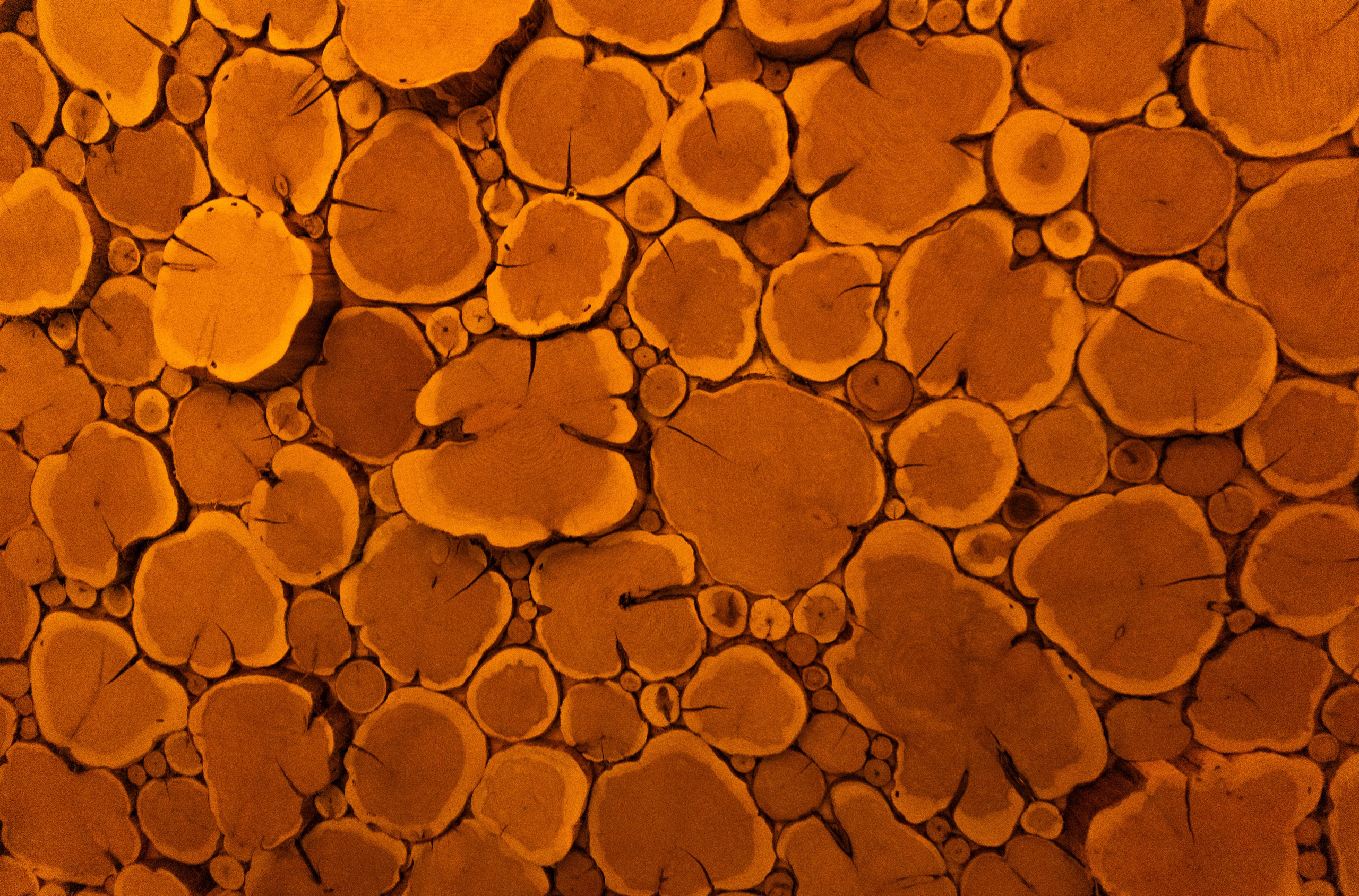 Пляж 33 spa. Фотограф Эрика Парфёнова