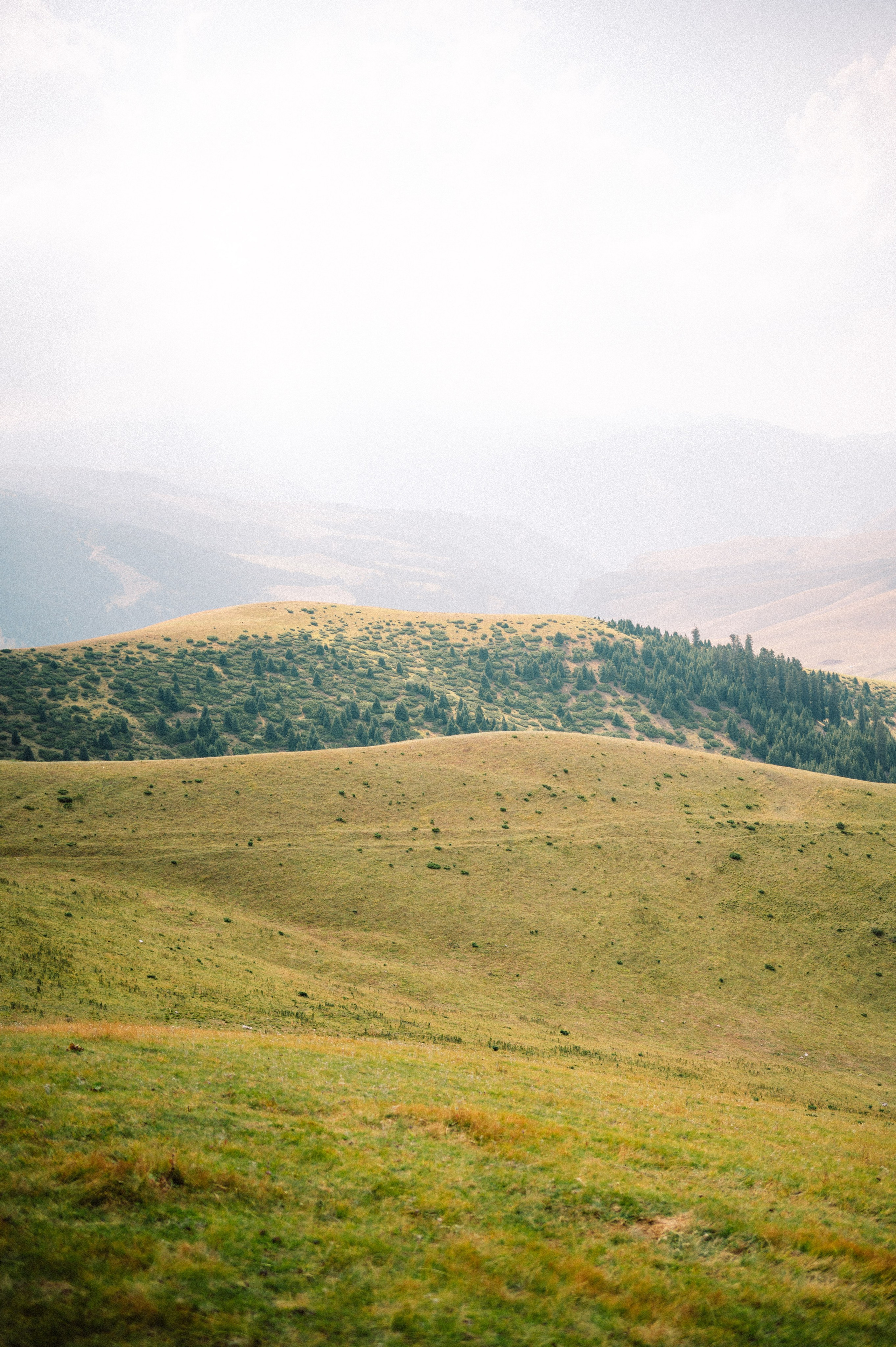 Плато Ассы: июль 2025. Фотограф в Алматы — Дарья Фёдорова