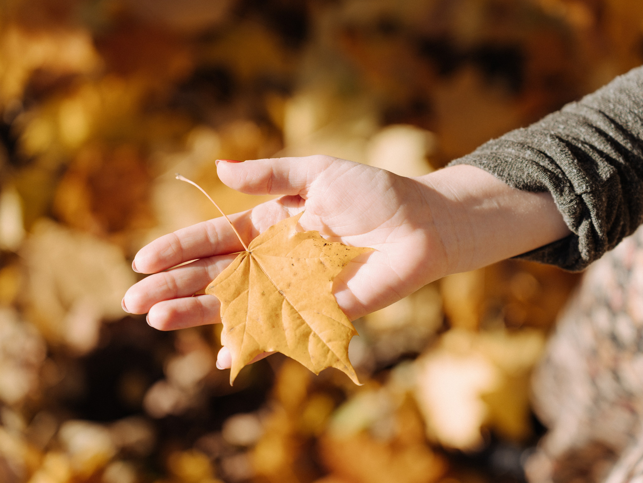 KSMU students Nature. Свадебный и семейный видеограф в Курске